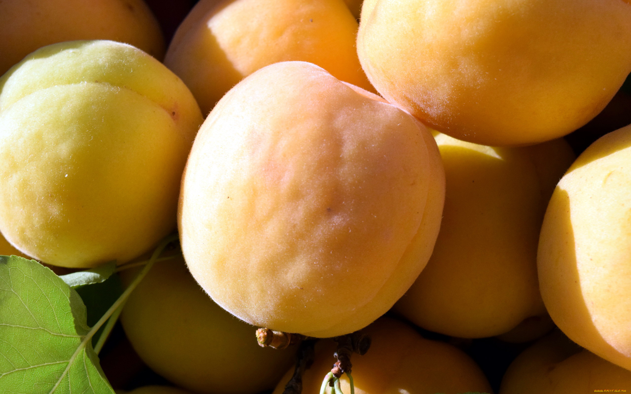 еда, персики, , сливы, , абрикосы