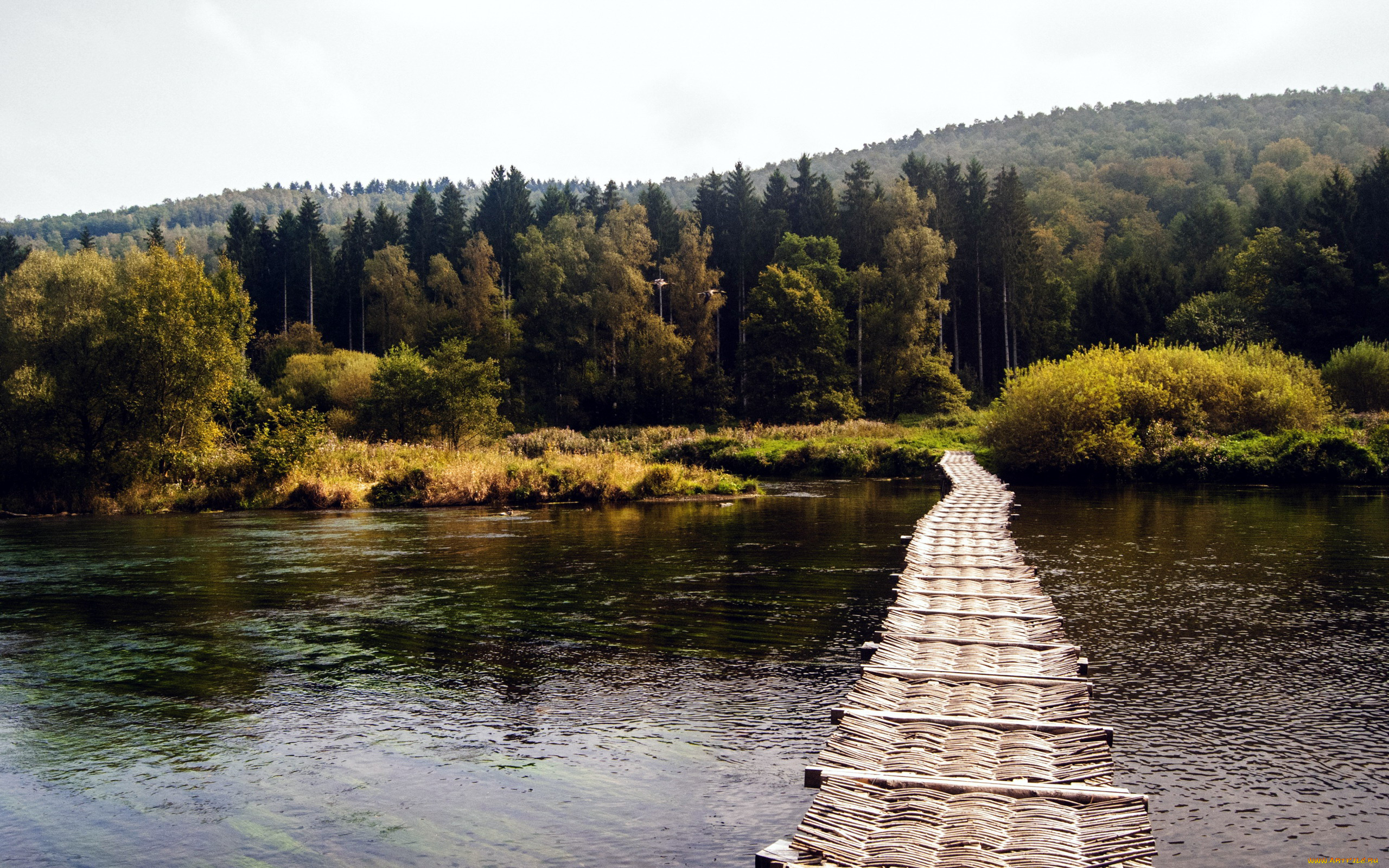 природа, реки, озера, вода, мост, деревья