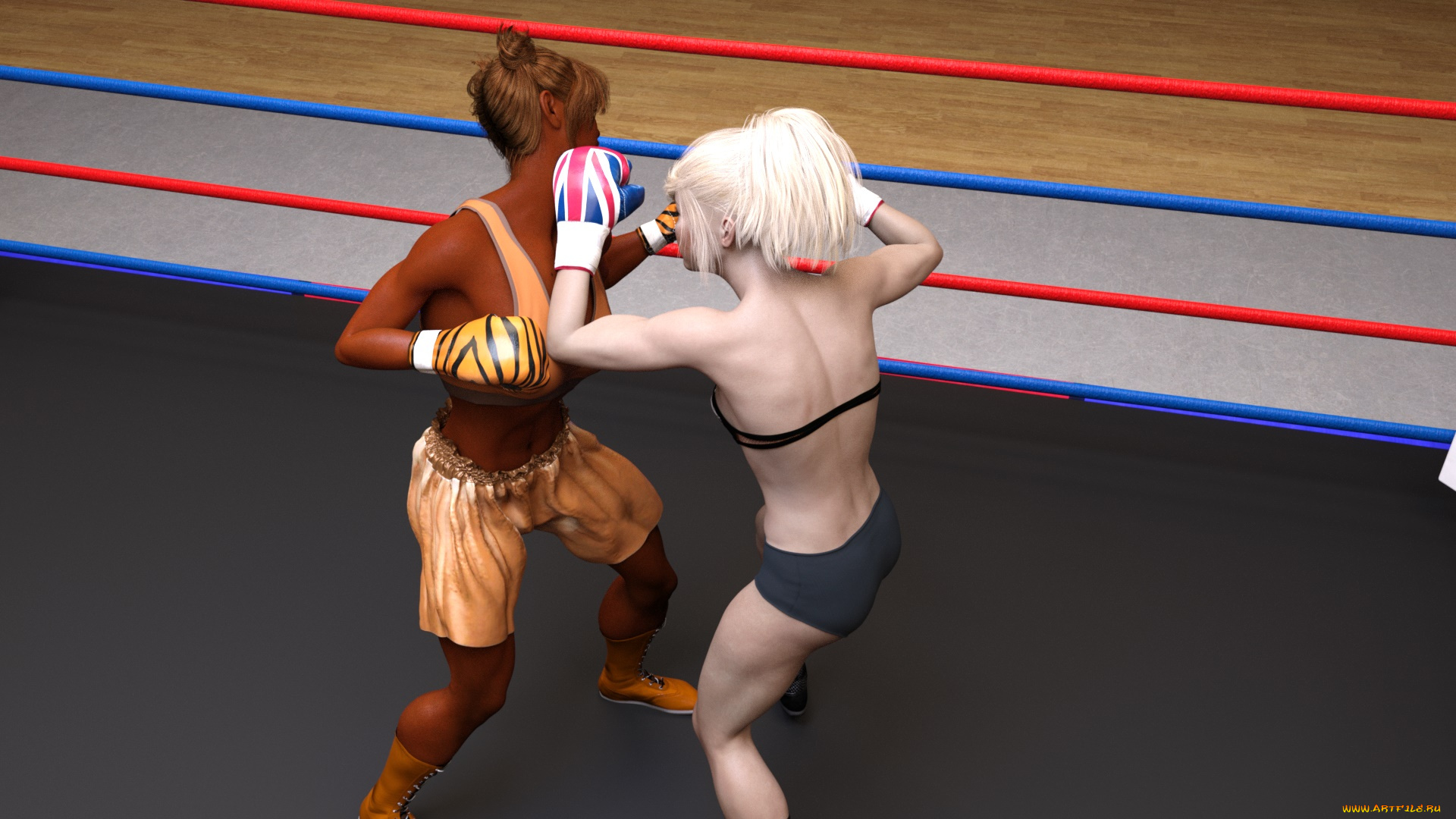 3д, графика, спорт, , sport, девушки, взгляд, фон, ринг, бокс