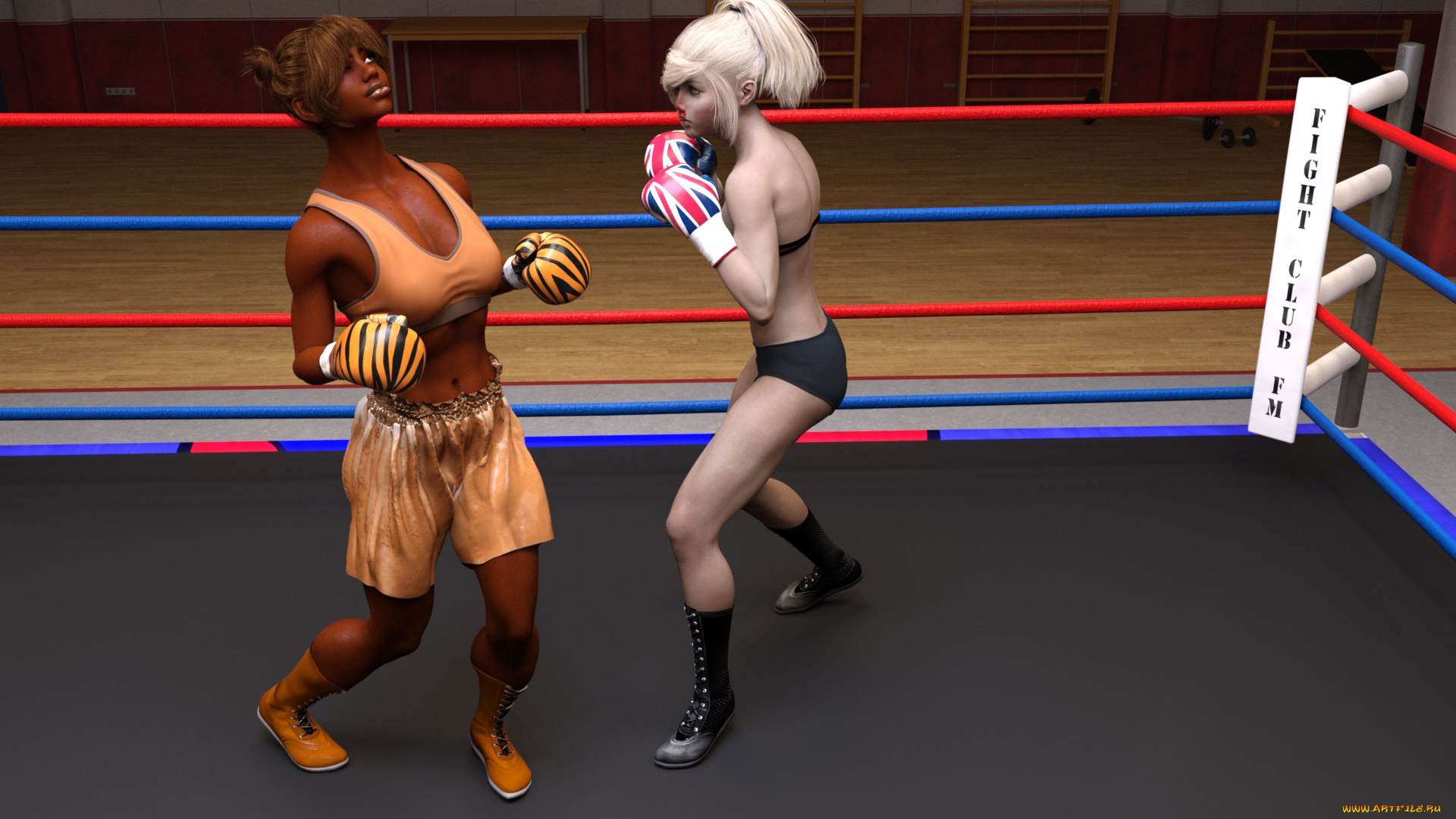 3д, графика, спорт, , sport, девушки, взгляд, фон, ринг, бокс