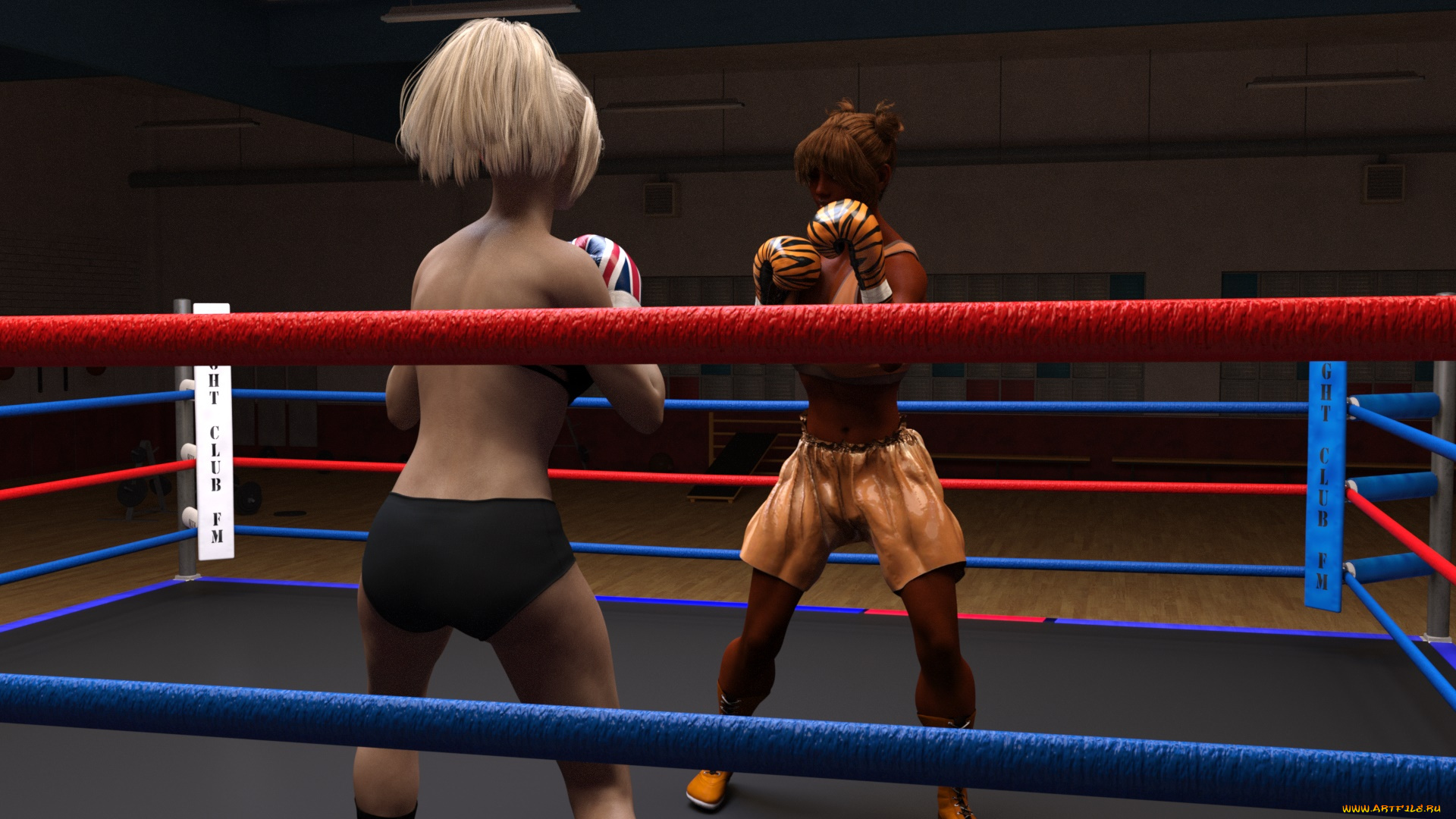 3д, графика, спорт, , sport, взгляд, фон, ринг, бокс, девушки