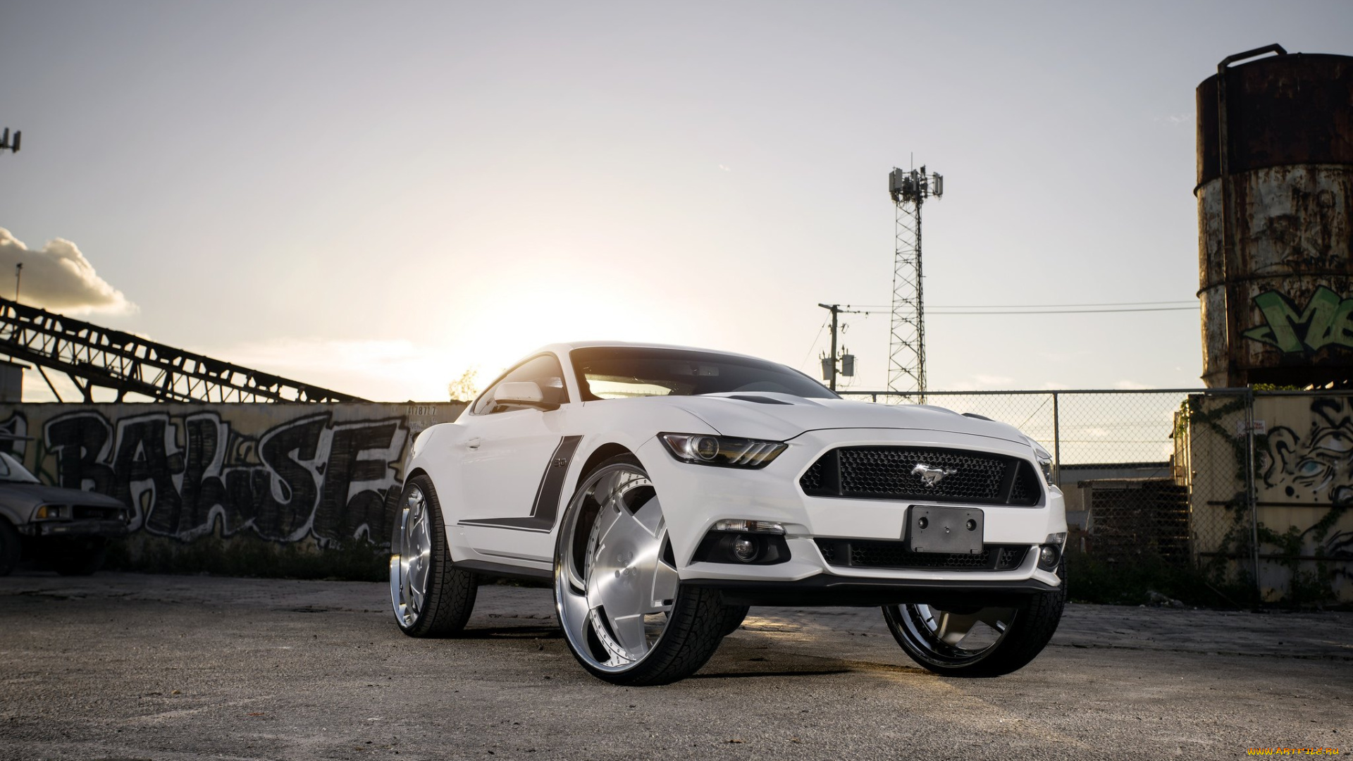 автомобили, mustang