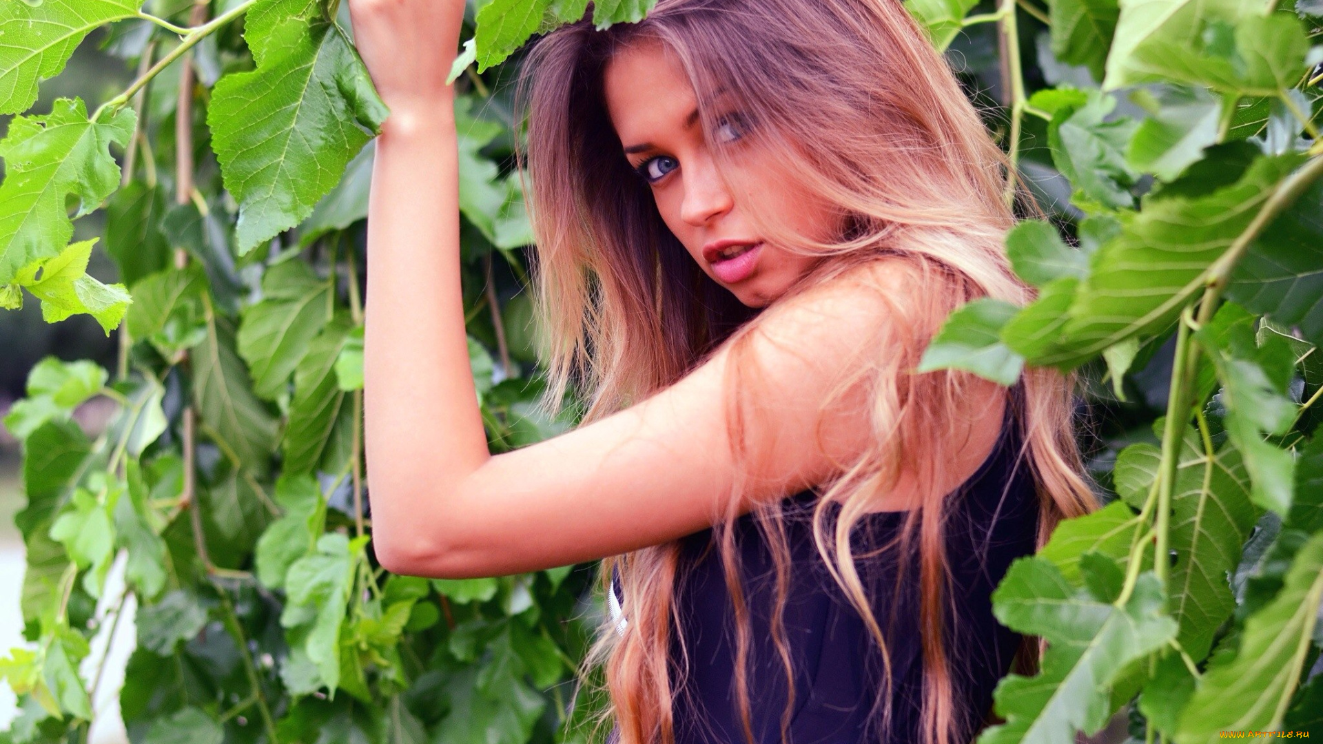 девушки, любовь, гуляк, любовь, гуляк