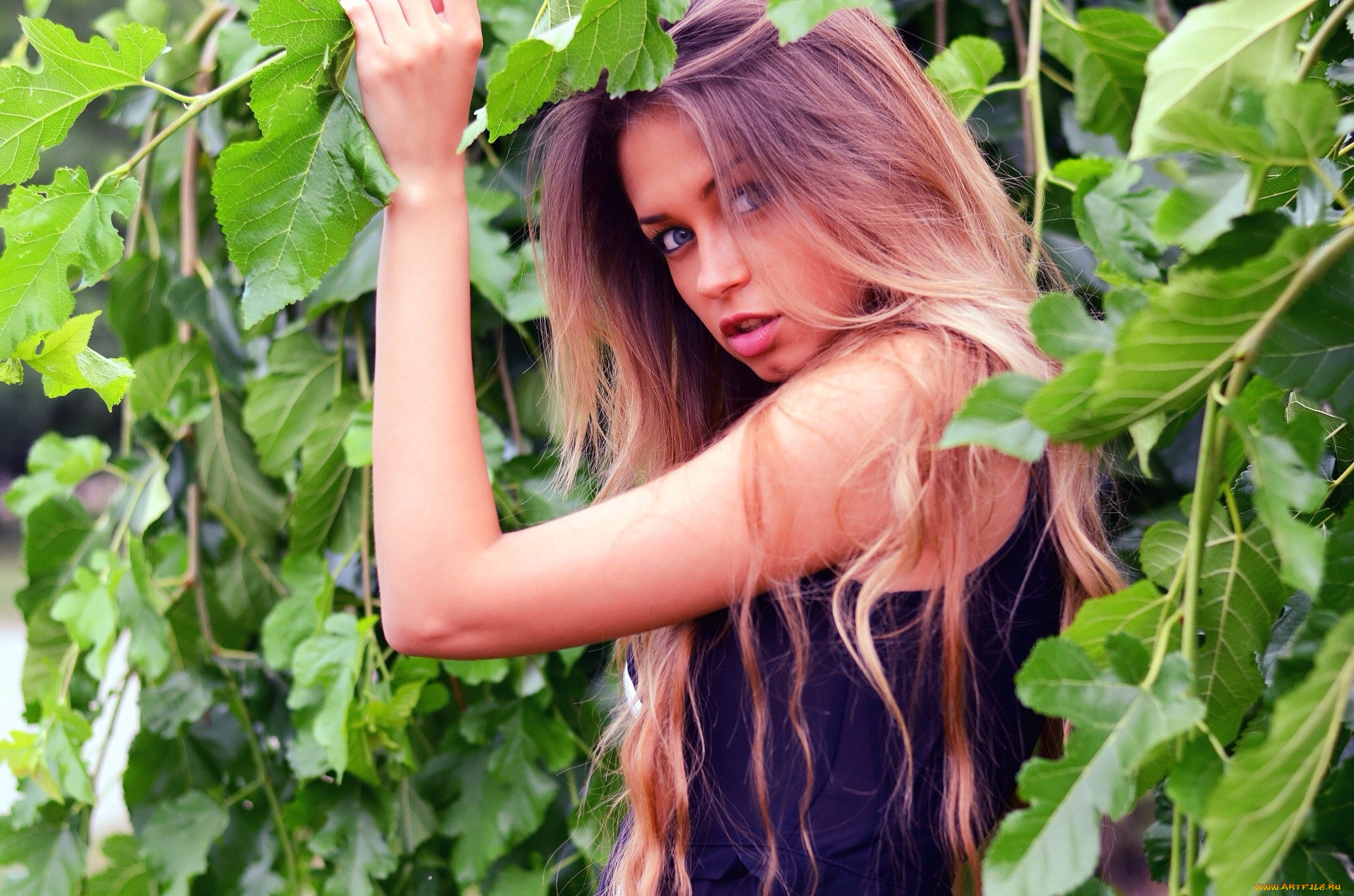 девушки, любовь, гуляк, любовь, гуляк