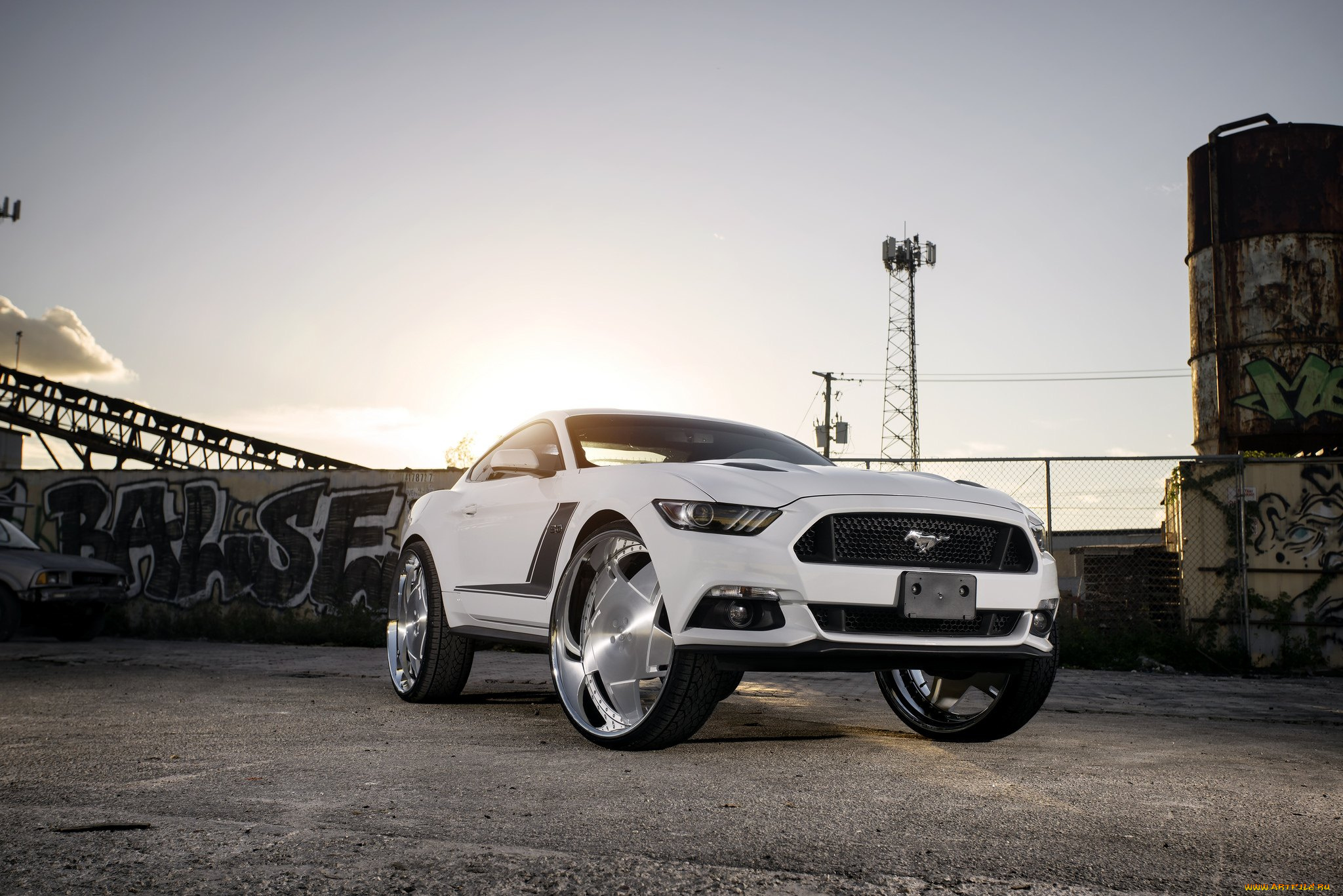 автомобили, mustang