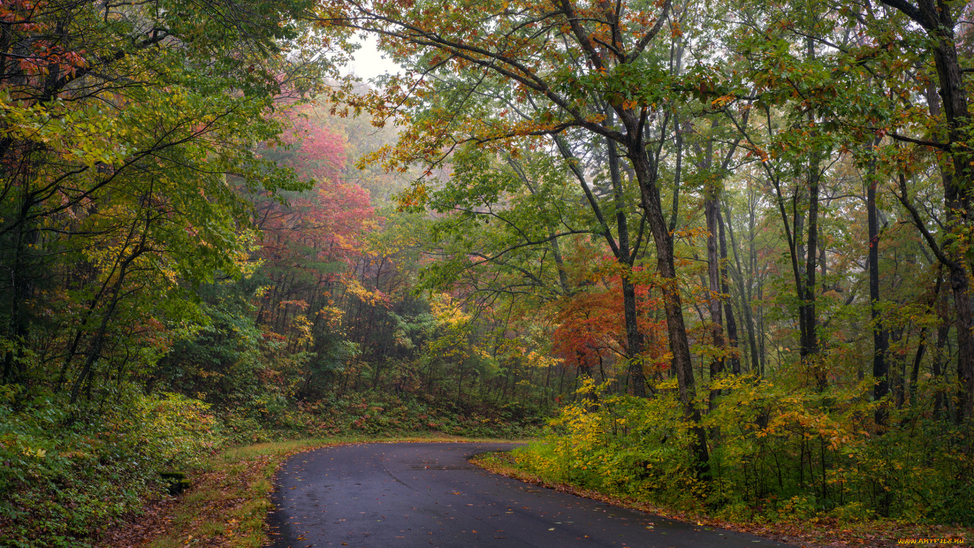 природа, дороги, простор