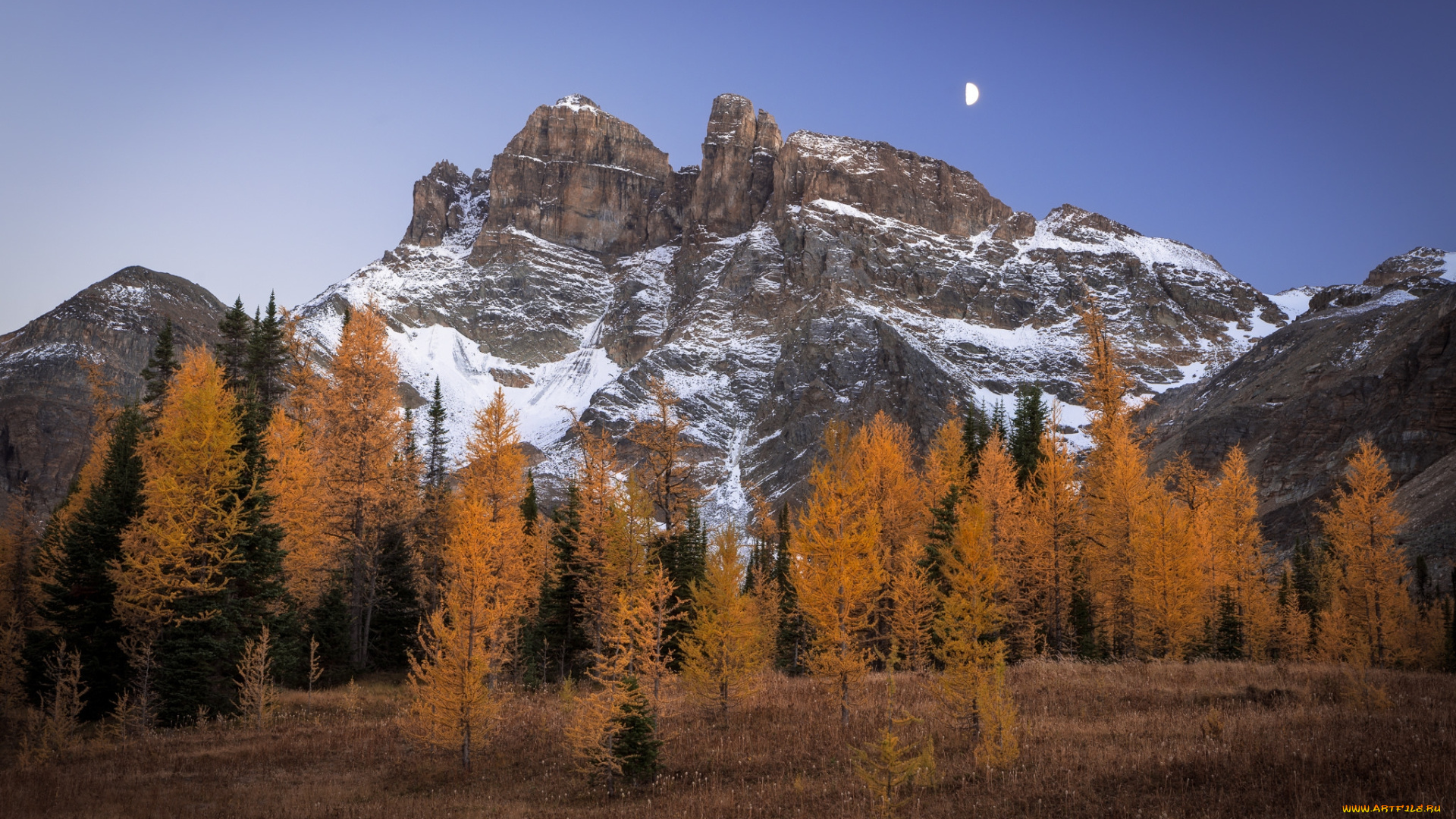 природа, горы, простор