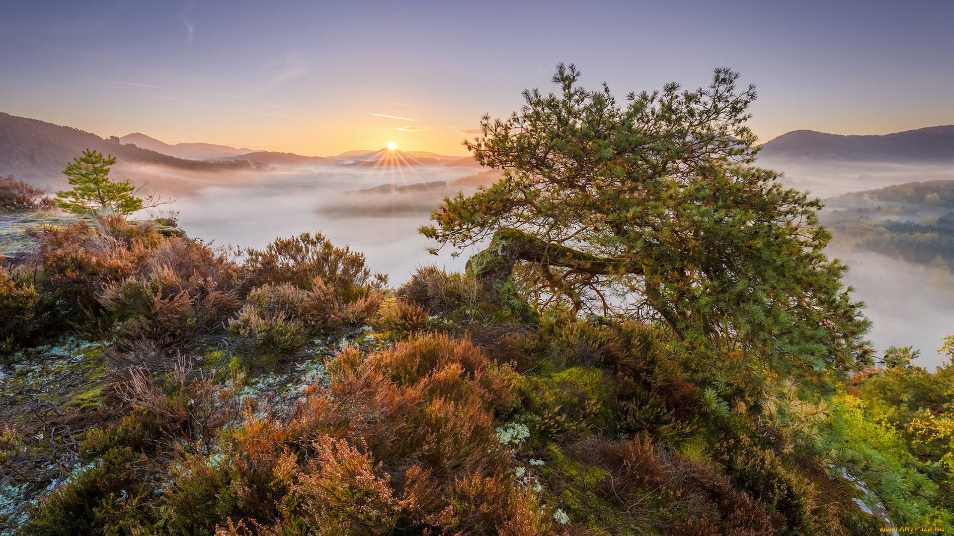 природа, пейзажи, простор