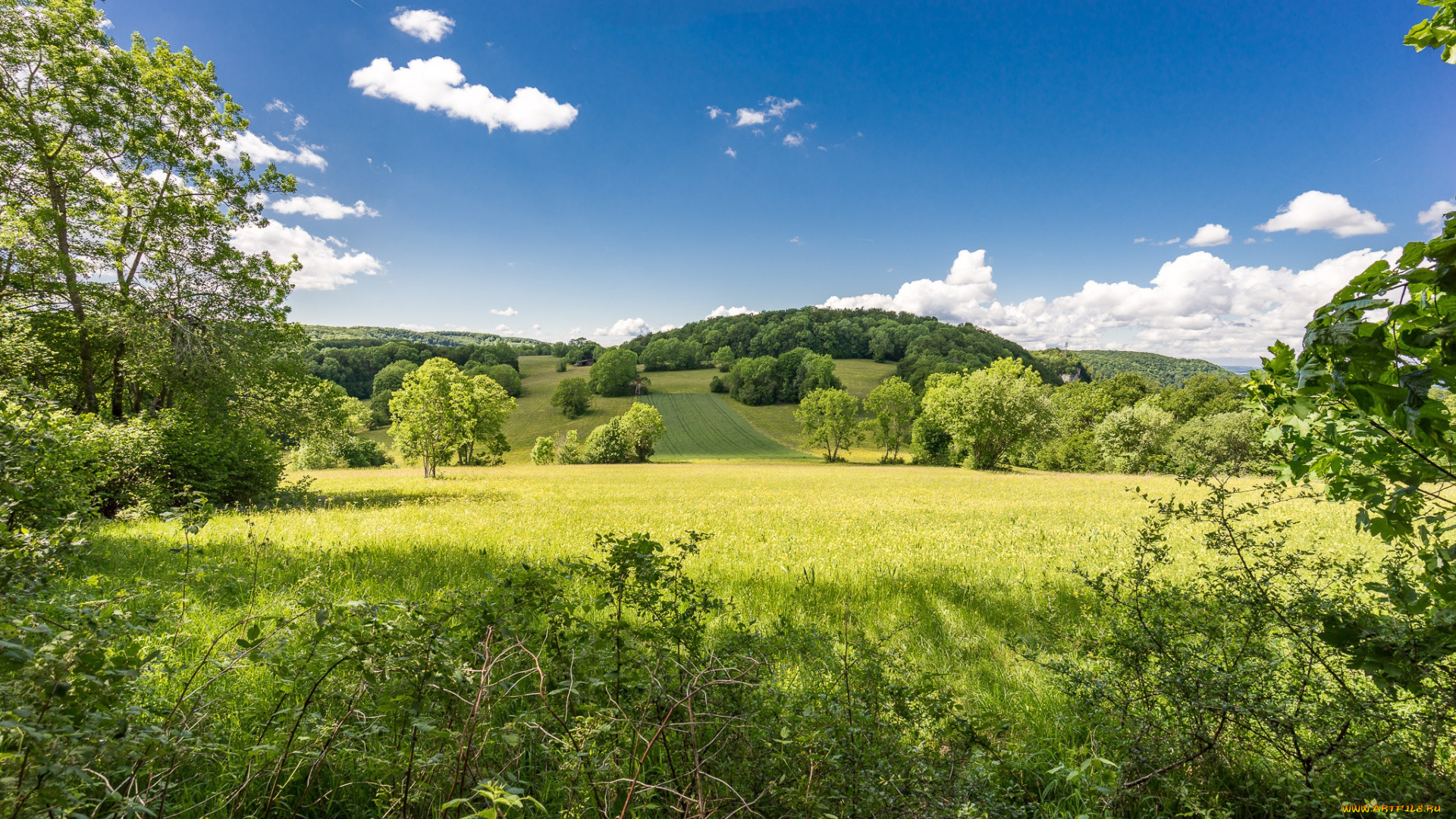 природа, пейзажи, простор