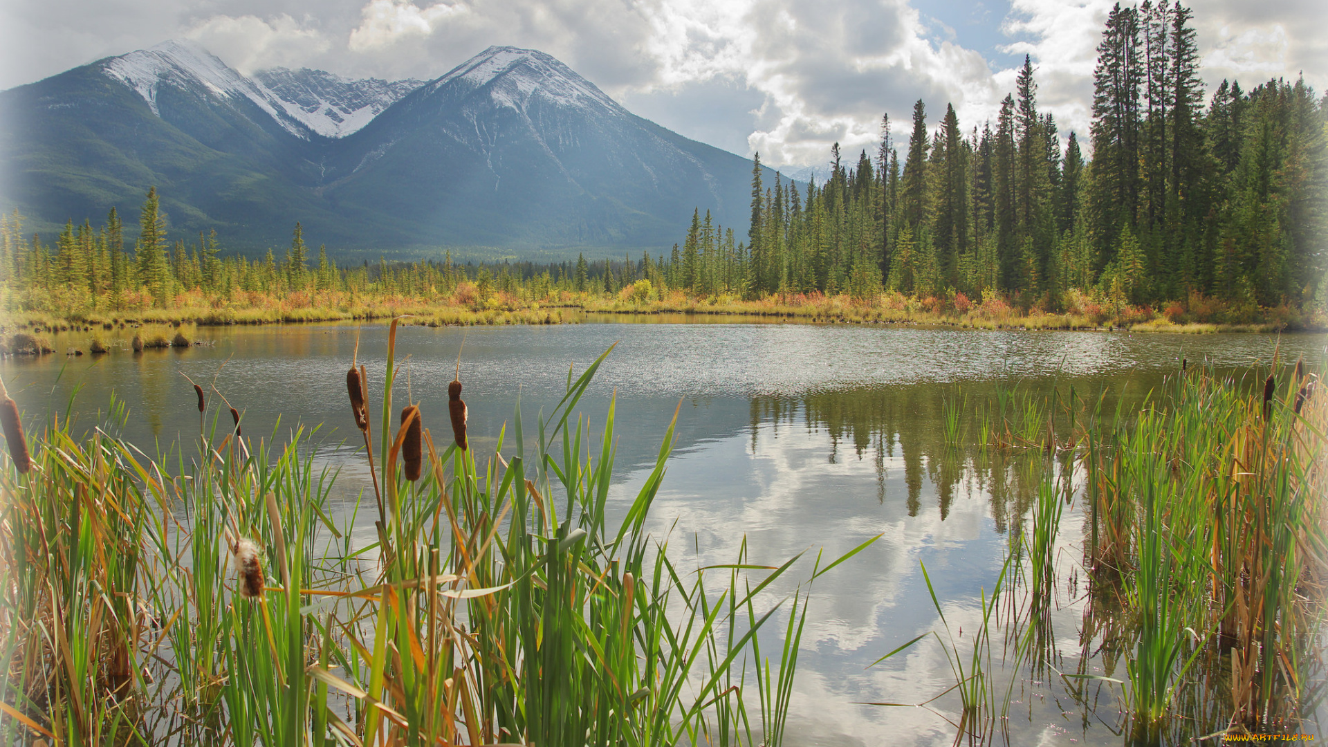 природа, реки, озера, простор