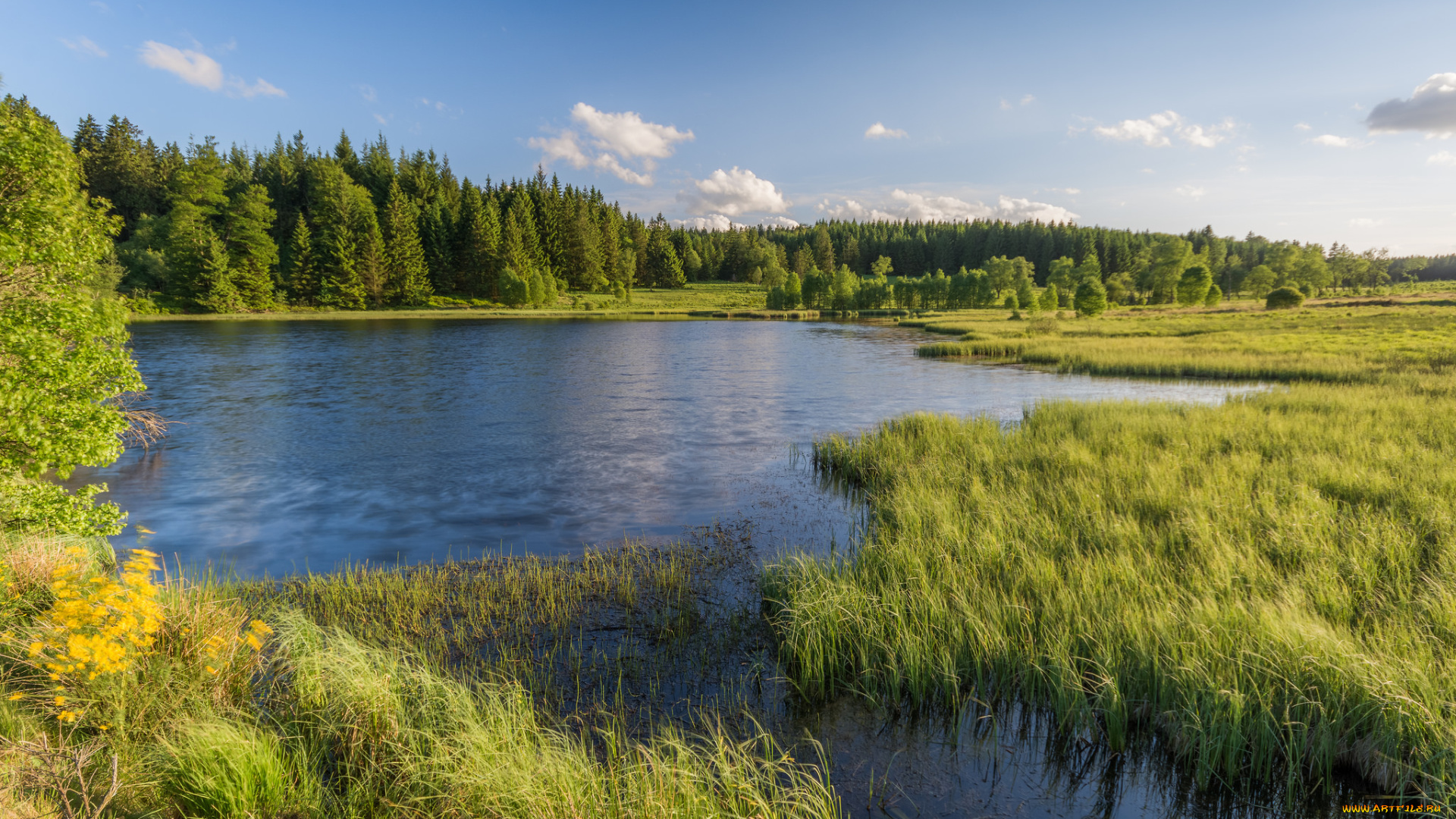 природа, реки, озера, простор