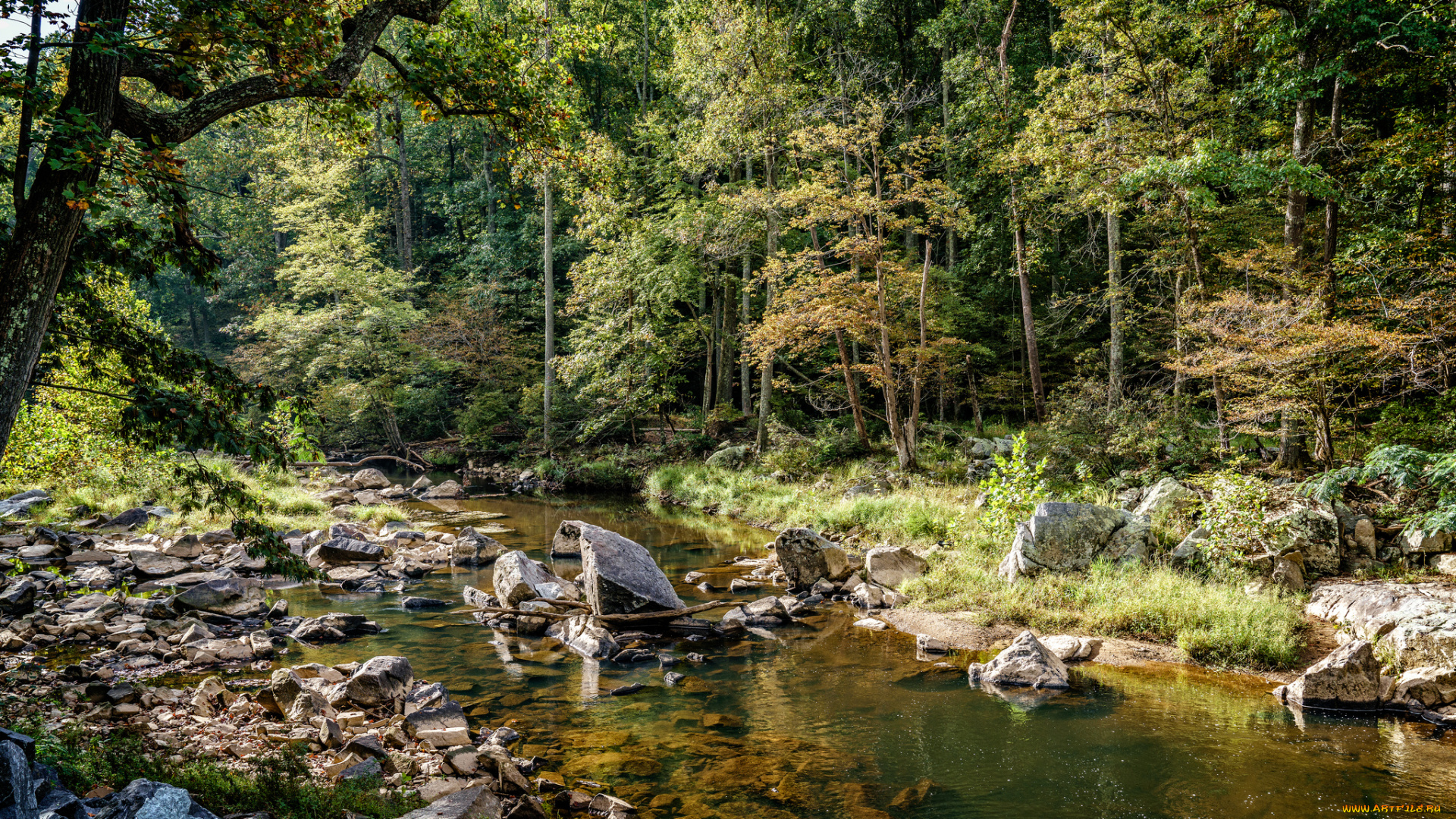 природа, реки, озера, простор