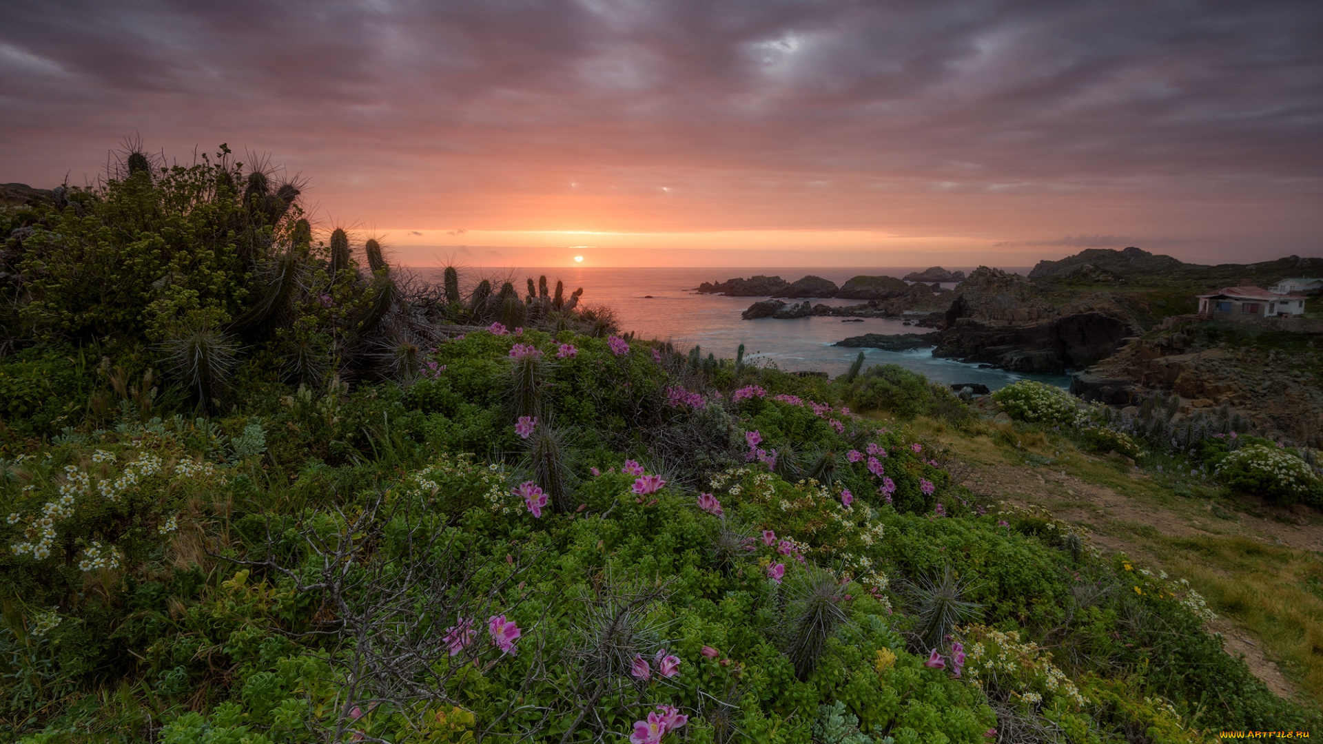 природа, восходы, закаты, простор