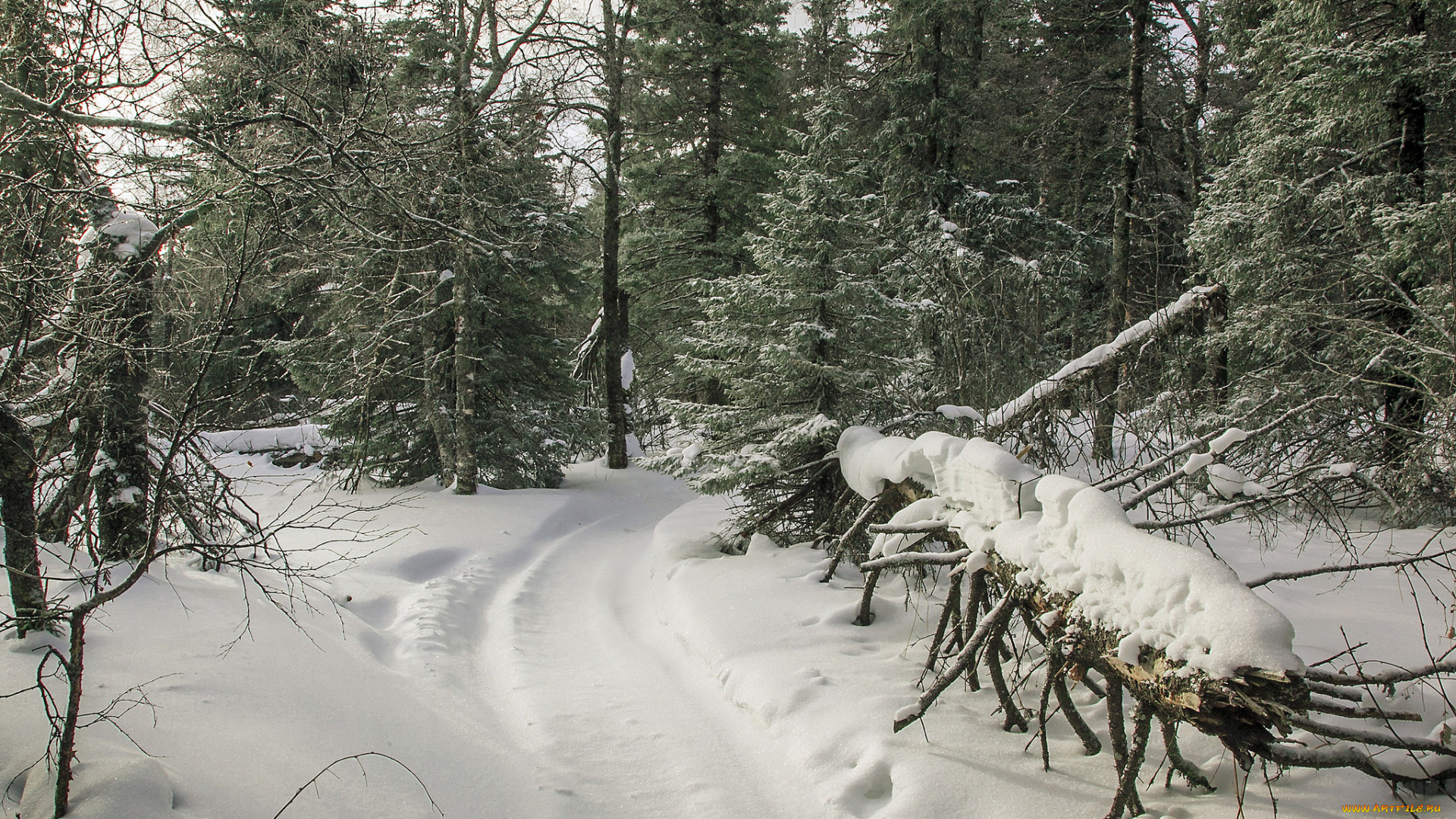 природа, зима, простор