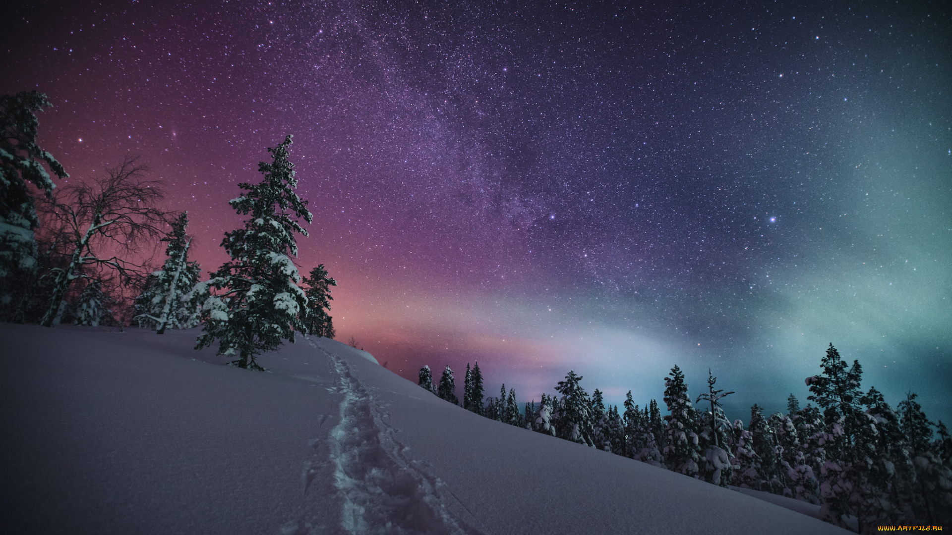 природа, зима, простор