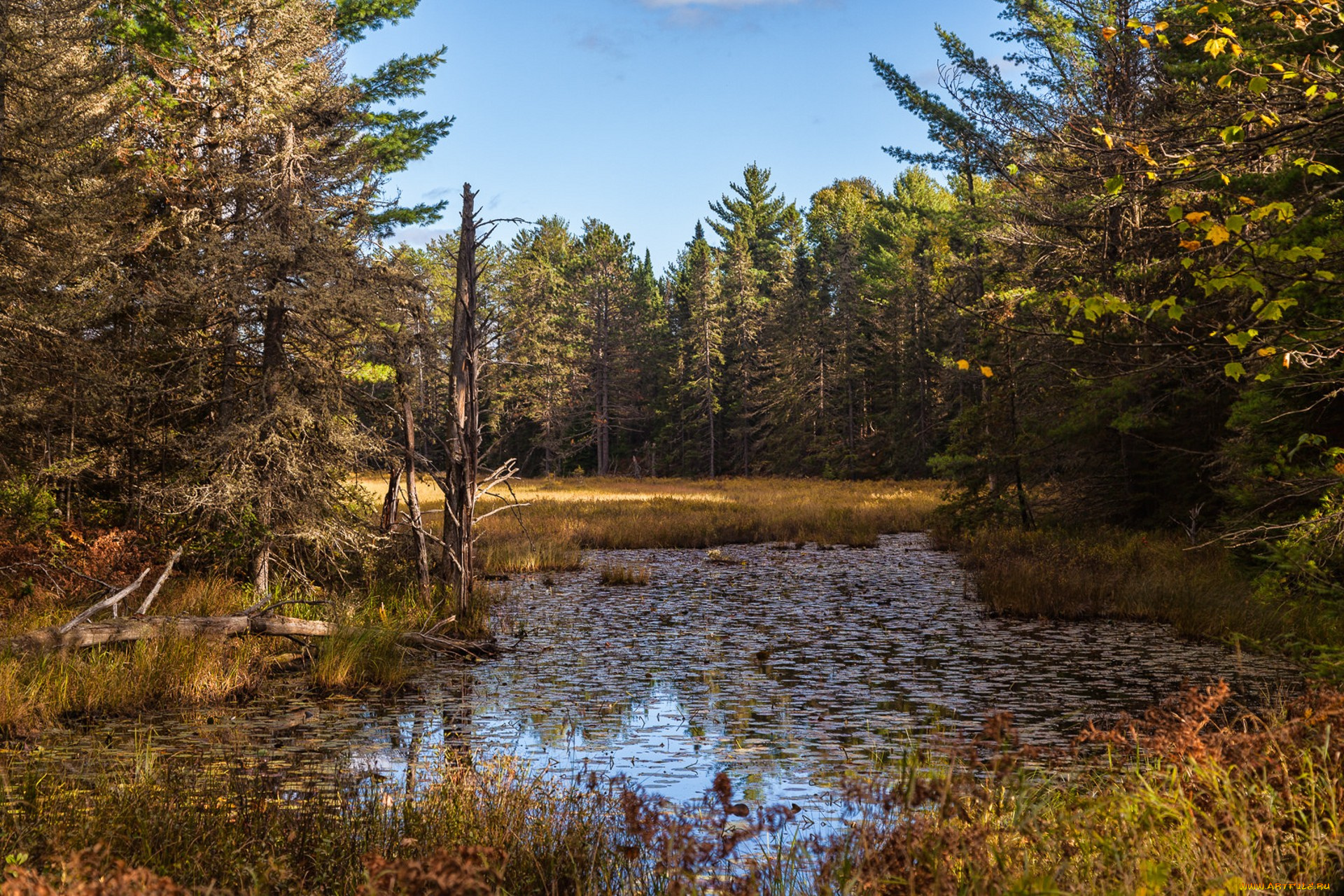 природа, реки, озера, простор