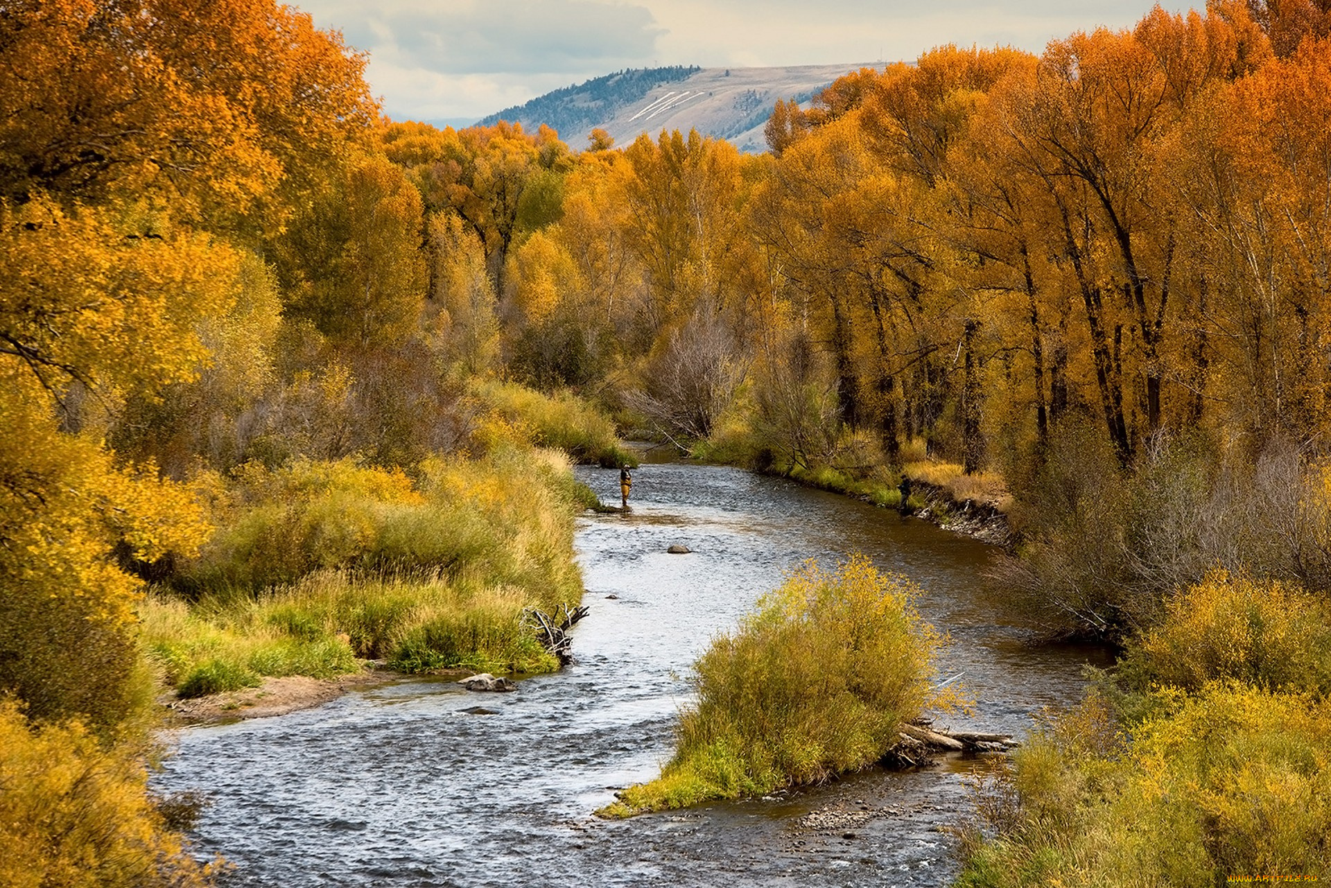 природа, реки, озера, простор