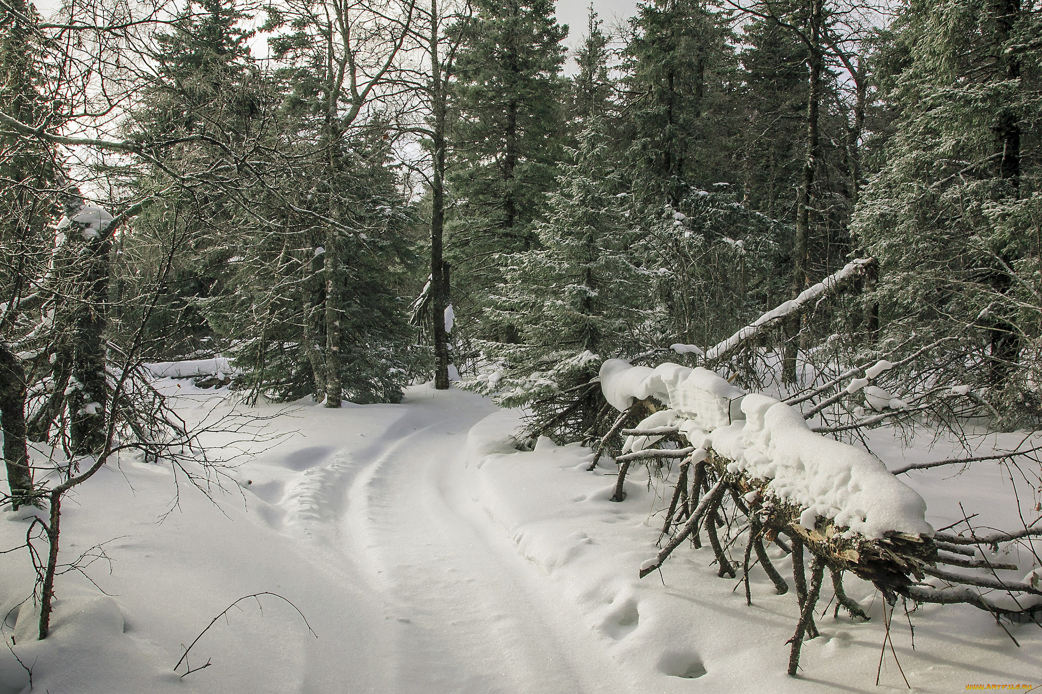 природа, зима, простор