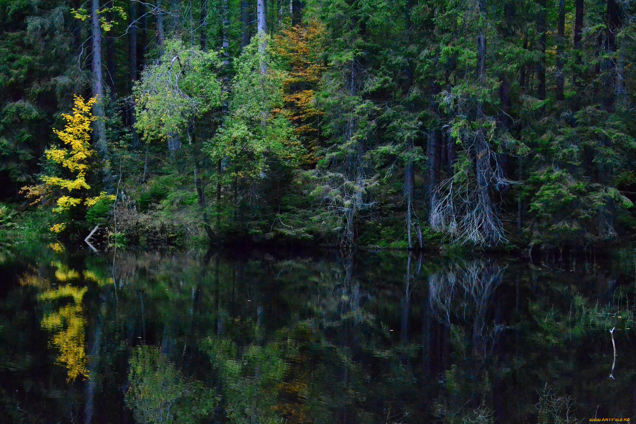 природа, реки, озера, простор