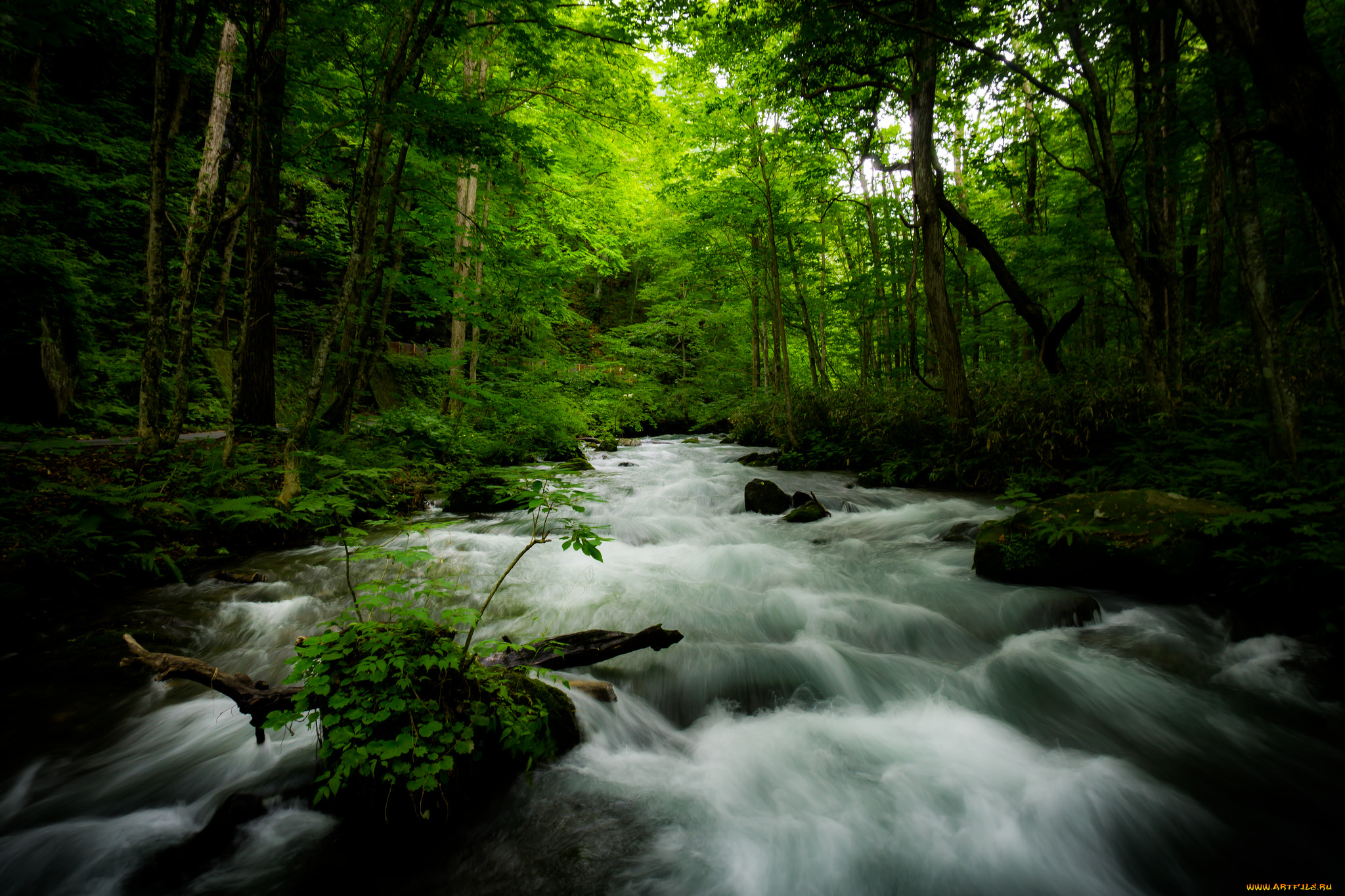 природа, реки, озера, простор