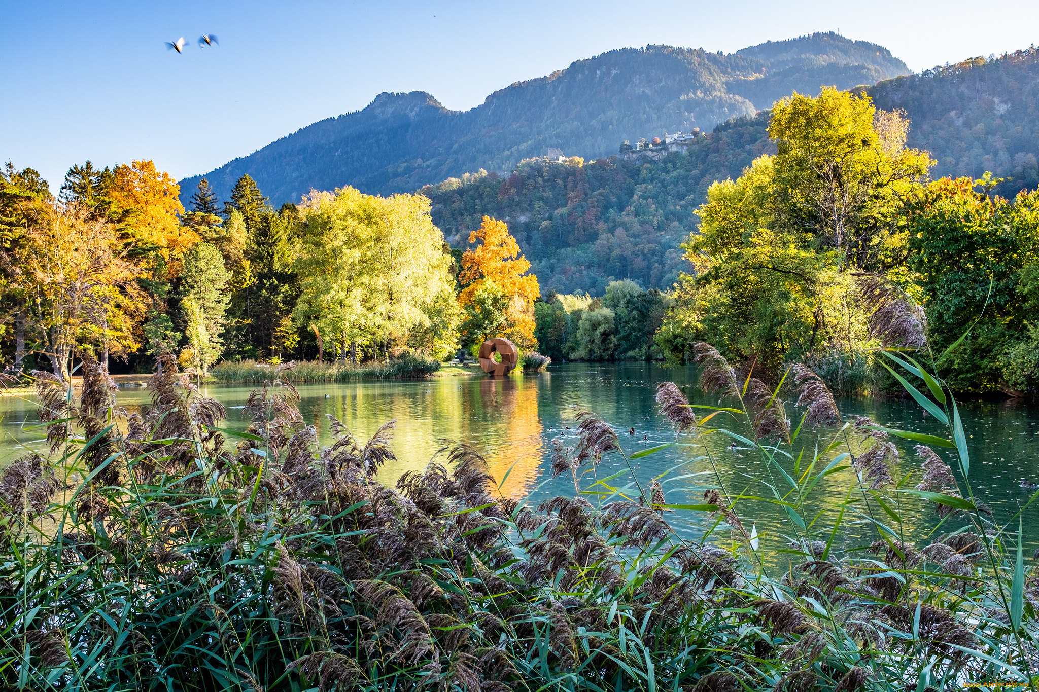 природа, реки, озера, простор