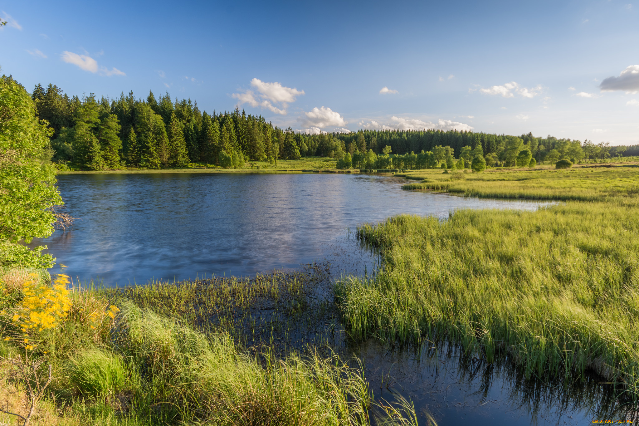 природа, реки, озера, простор