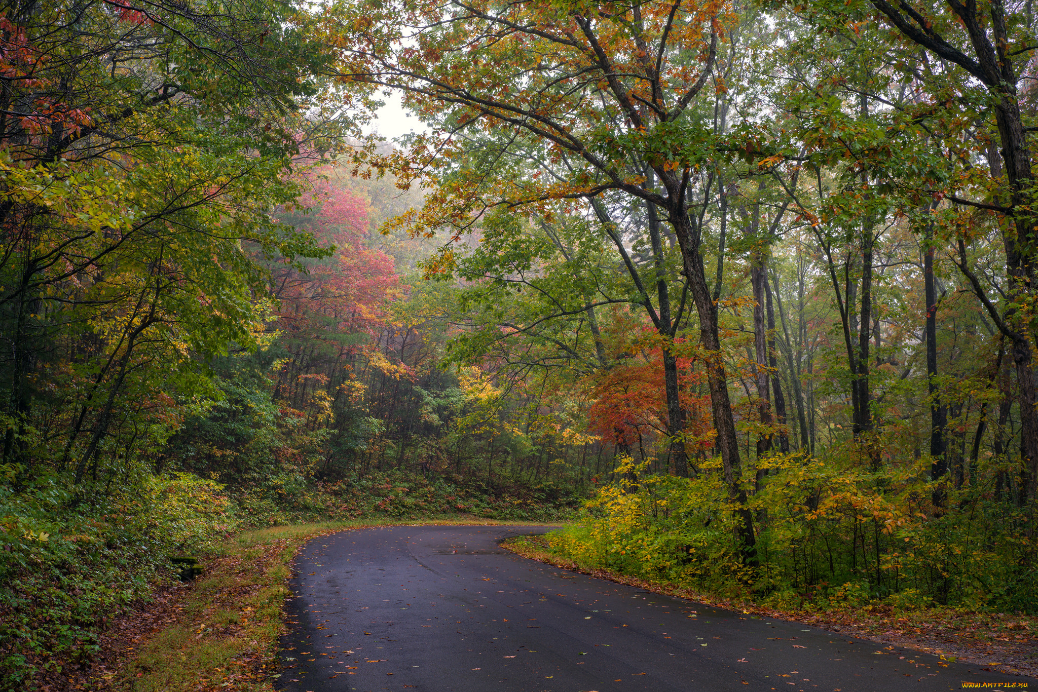 природа, дороги, простор