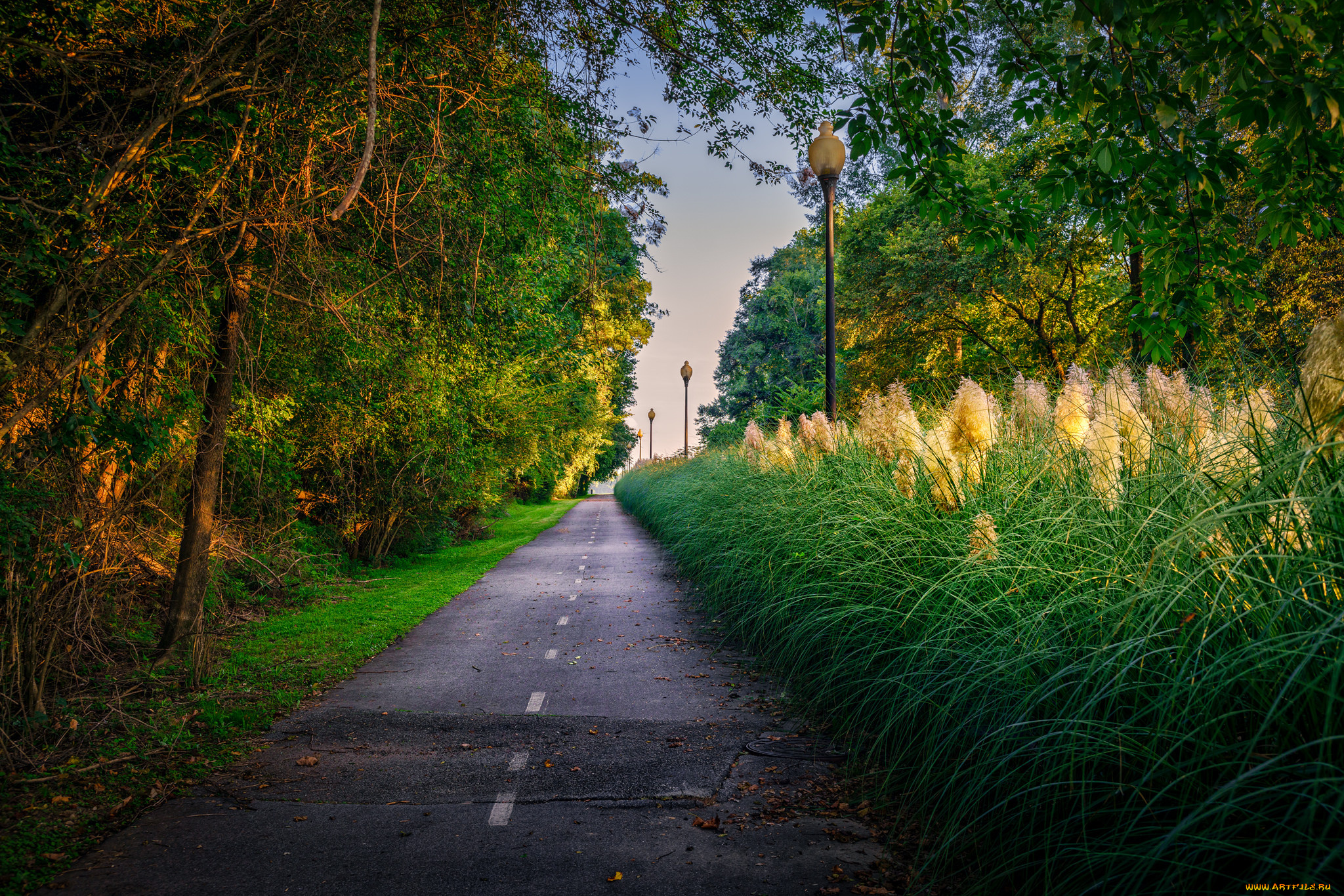 природа, дороги, простор