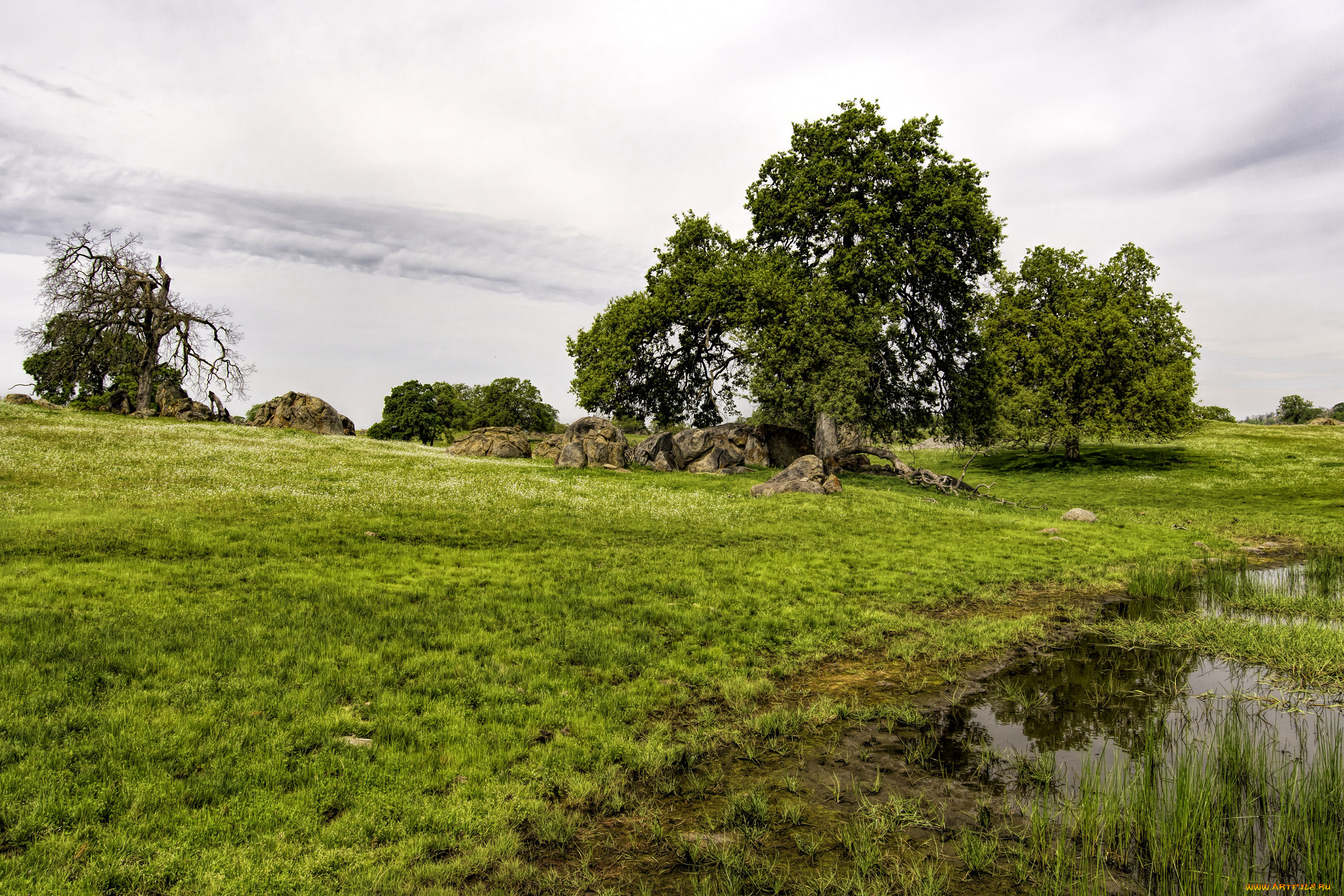 природа, пейзажи, простор