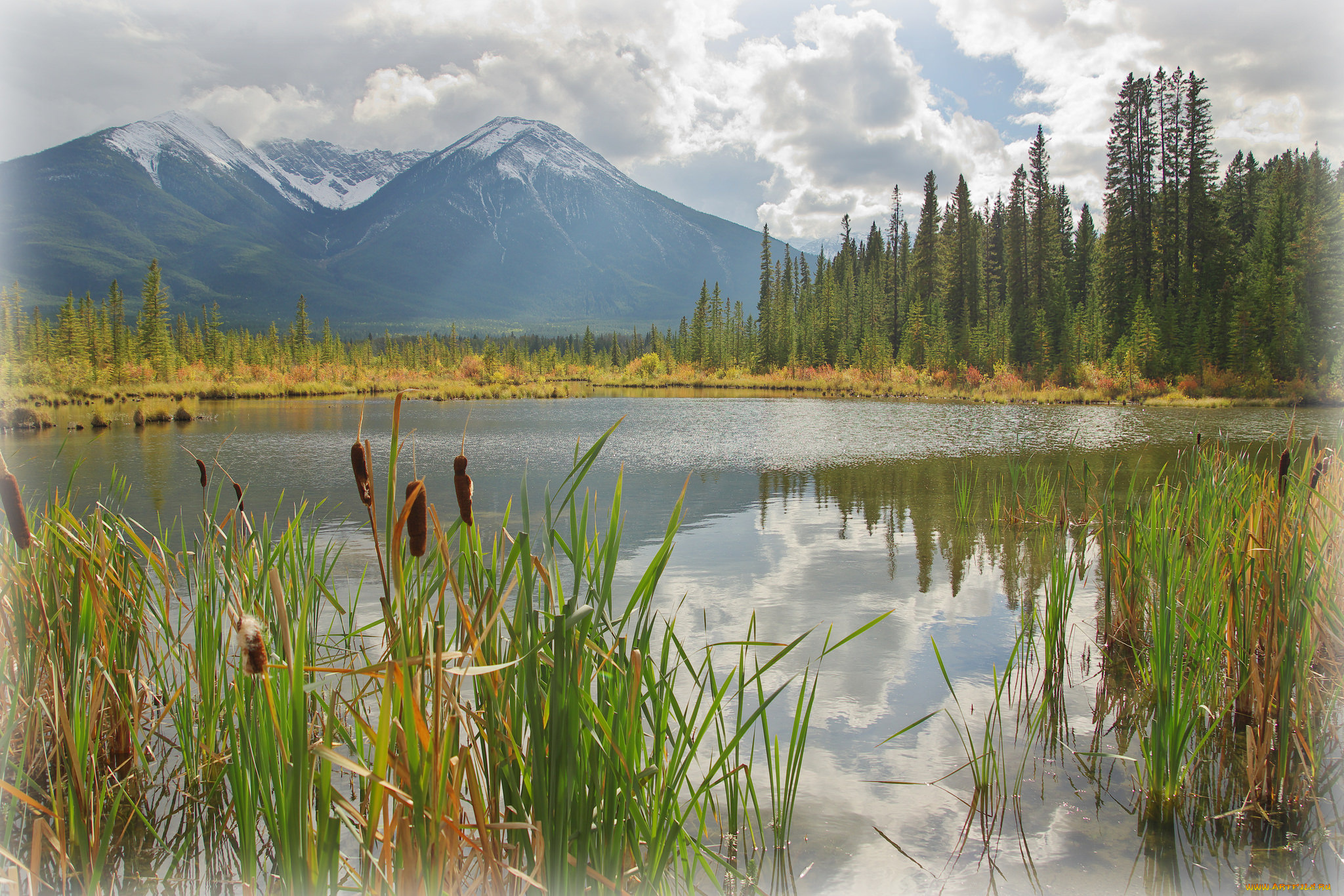 природа, реки, озера, простор