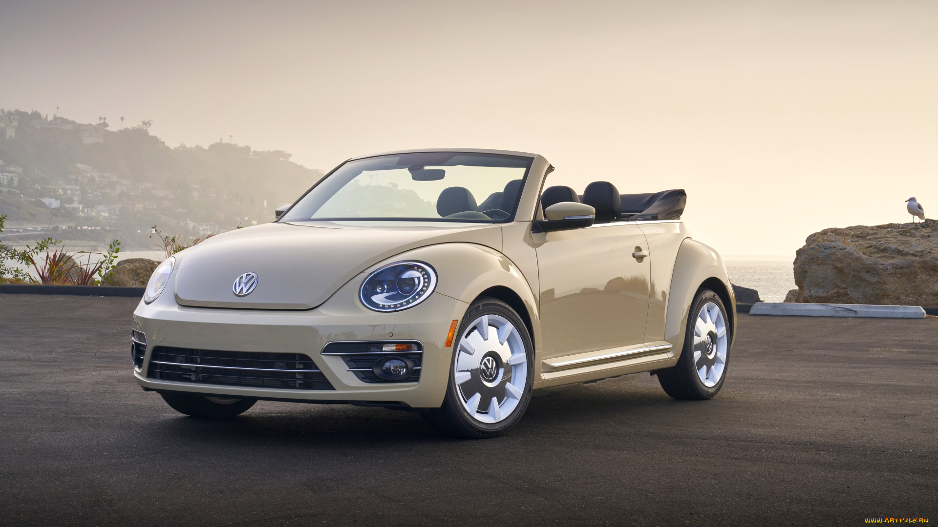 2019, volkswagen, beetle, sel, final, edition, автомобили, volkswagen, кабриолет, фольцваген, convertible, beetle, 2019, sel, final, edition