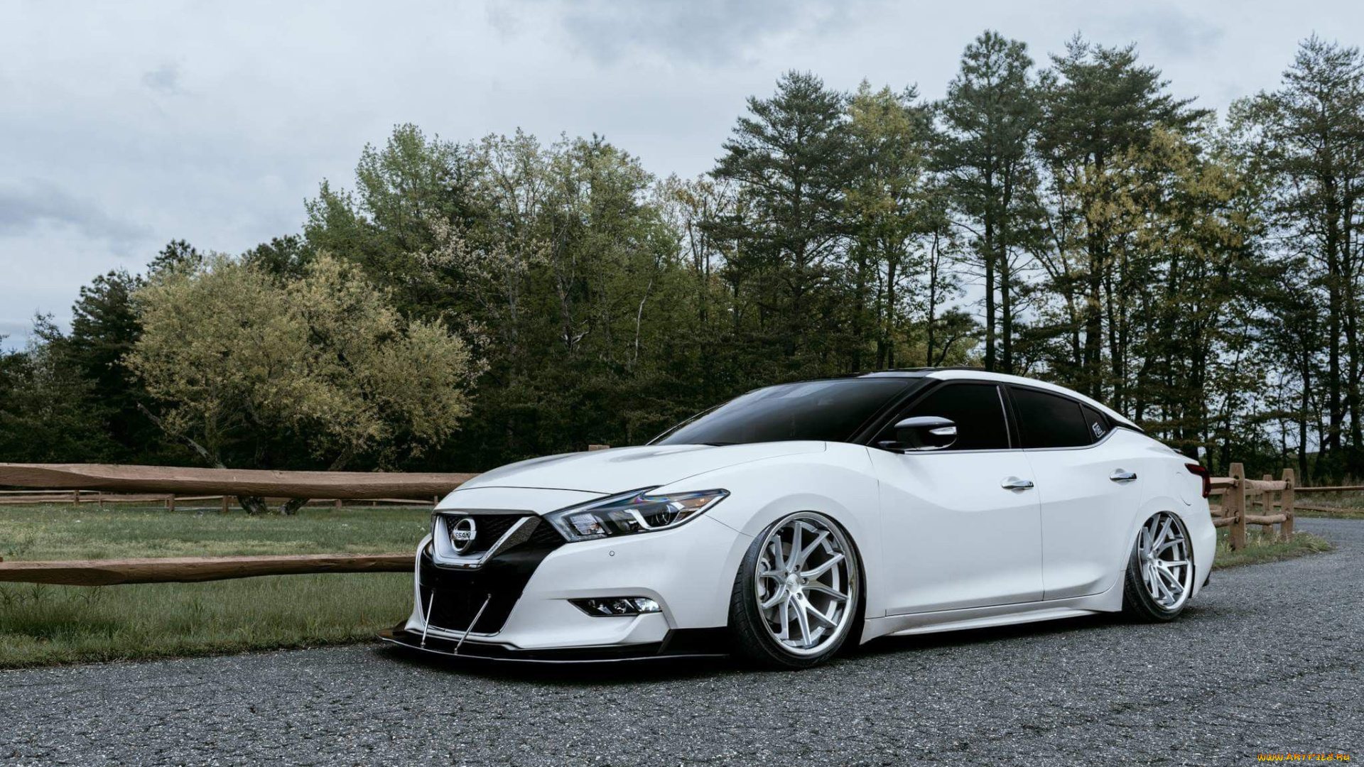 автомобили, nissan, datsun