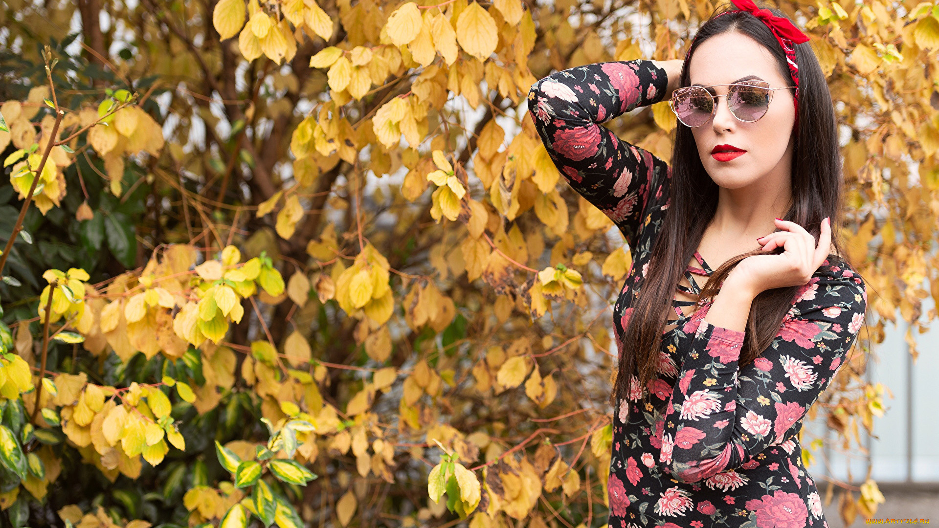 девушки, -, брюнетки, , шатенки, дерево, осень, желтые, листья, брюнетка, очки, valentina