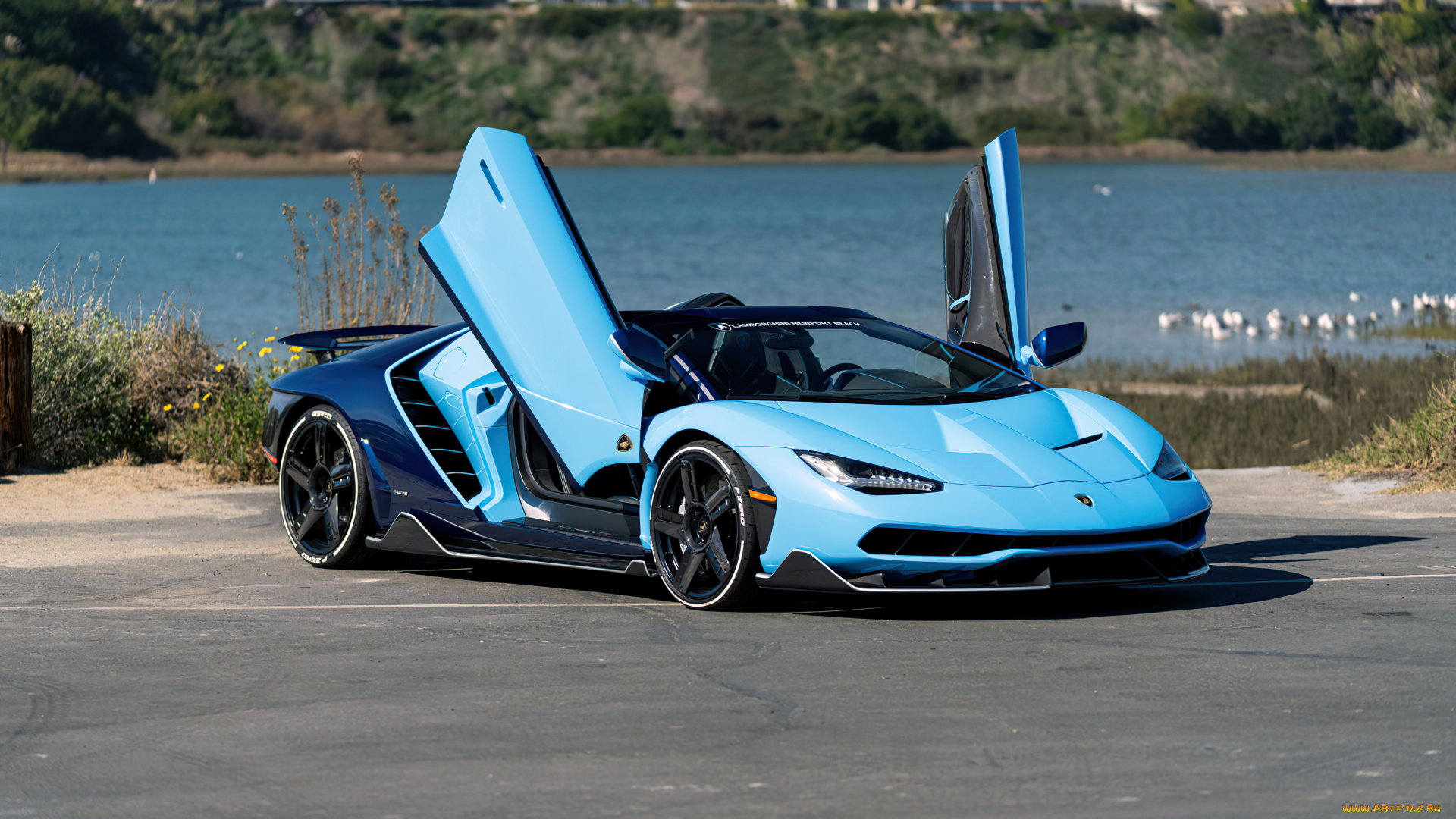 автомобили, lamborghini