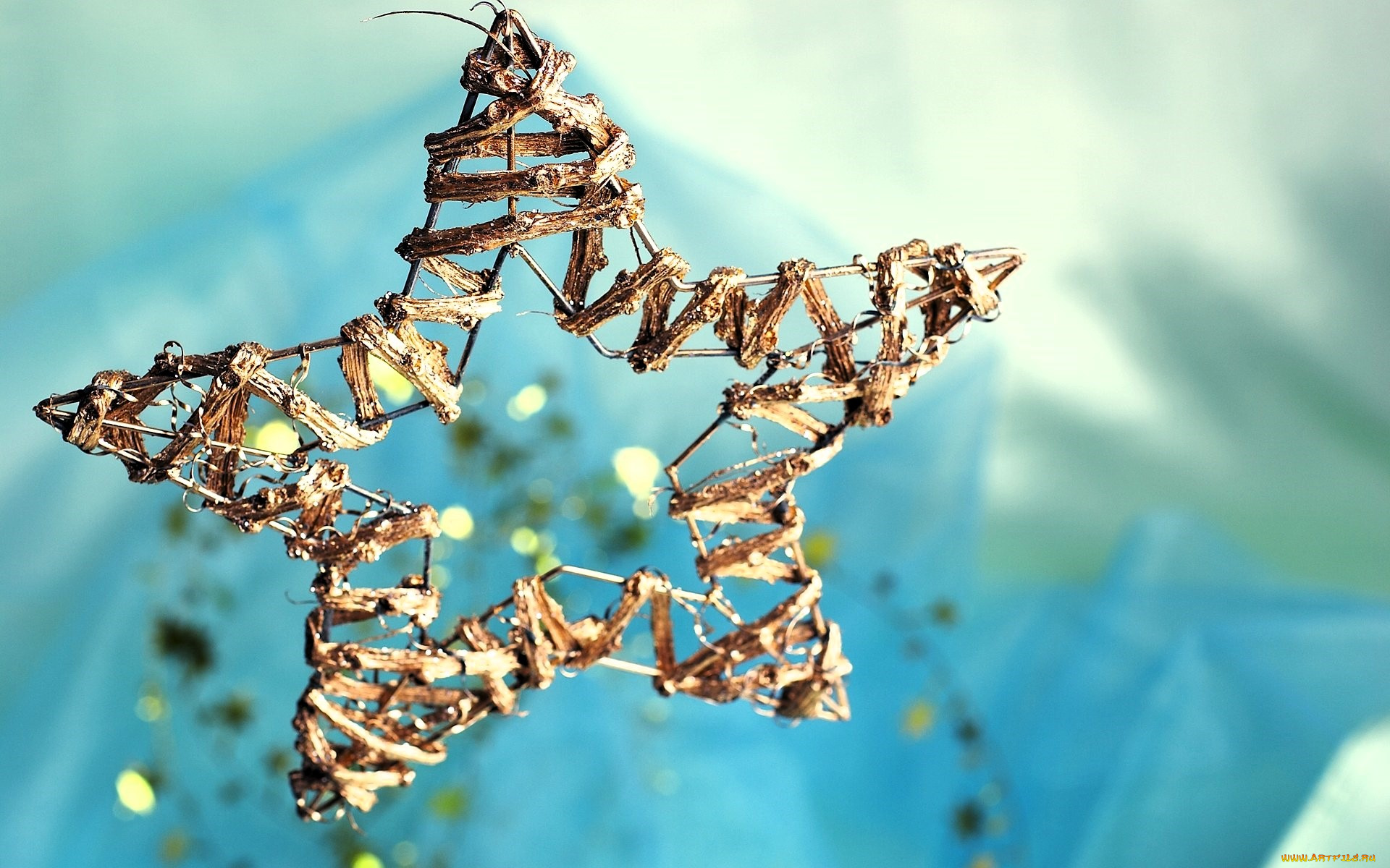 праздничные, украшения, звезда, украшение