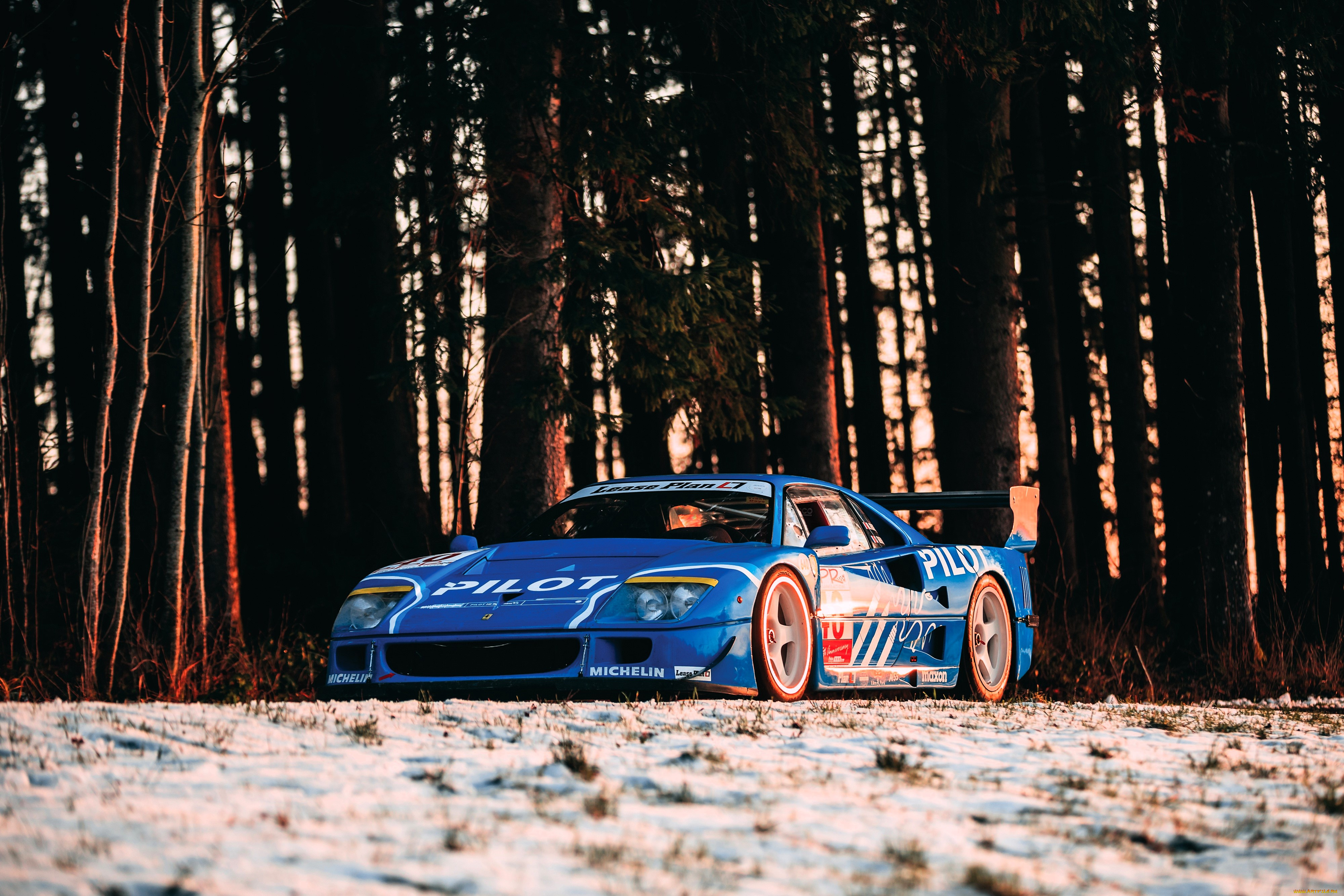 ferrari, f40, автомобили, ferrari, синий, лес, деревья, снег