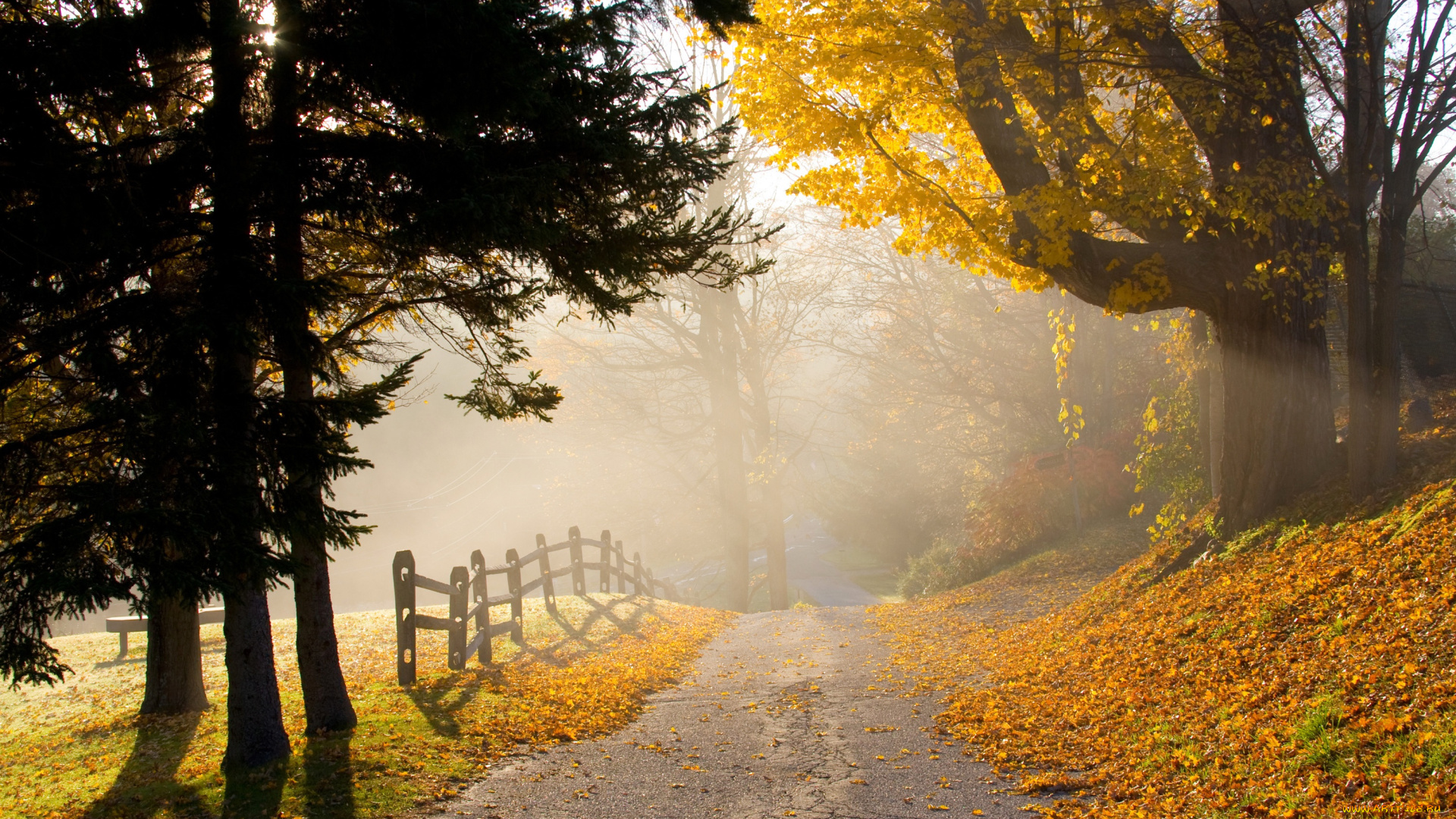 природа, дороги, осень