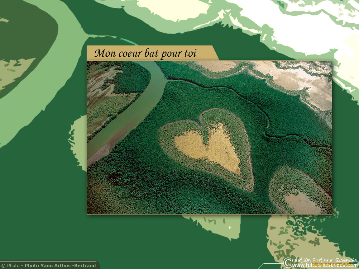 праздничные, день, св, валентина, сердечки, любовь