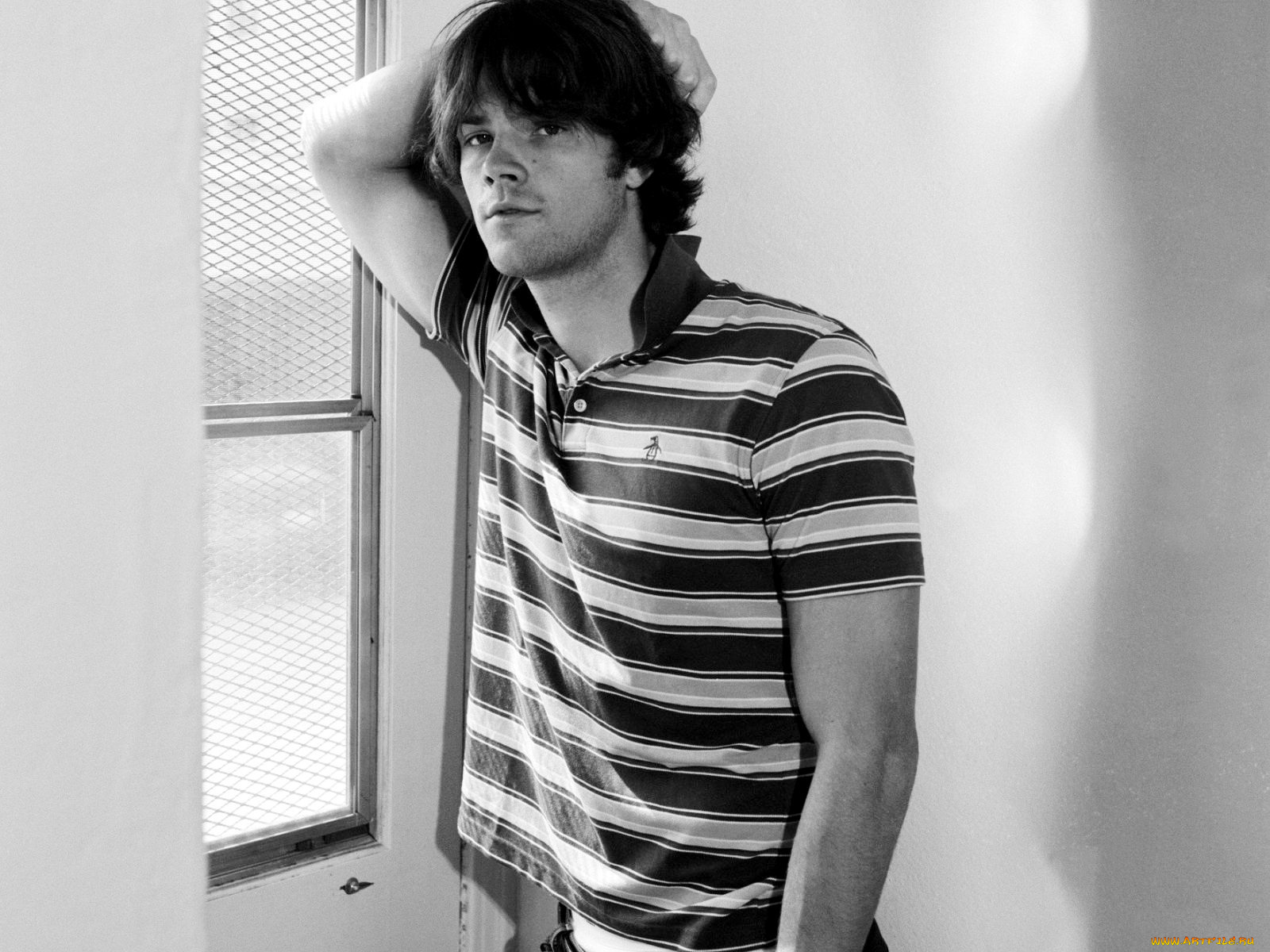jared, padalecki, мужчины