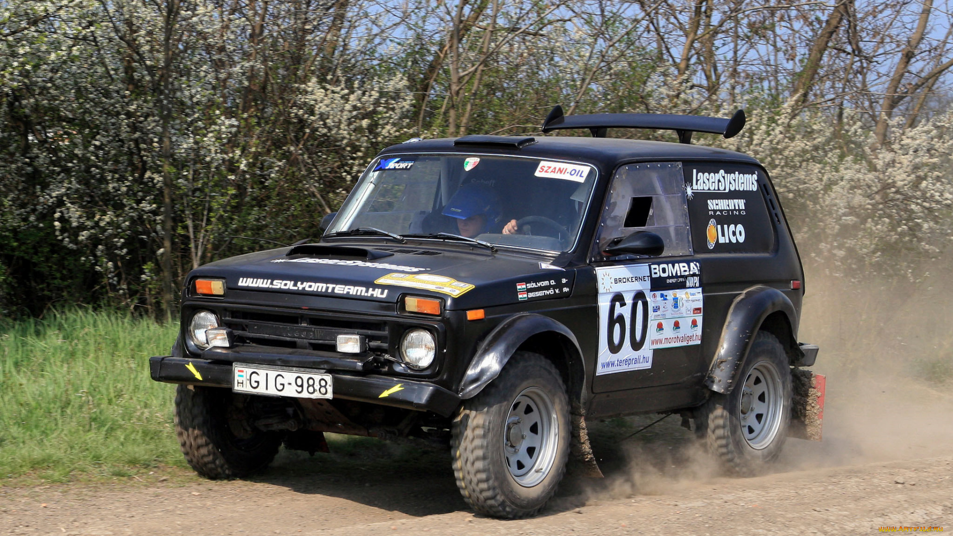 спорт, авторалли