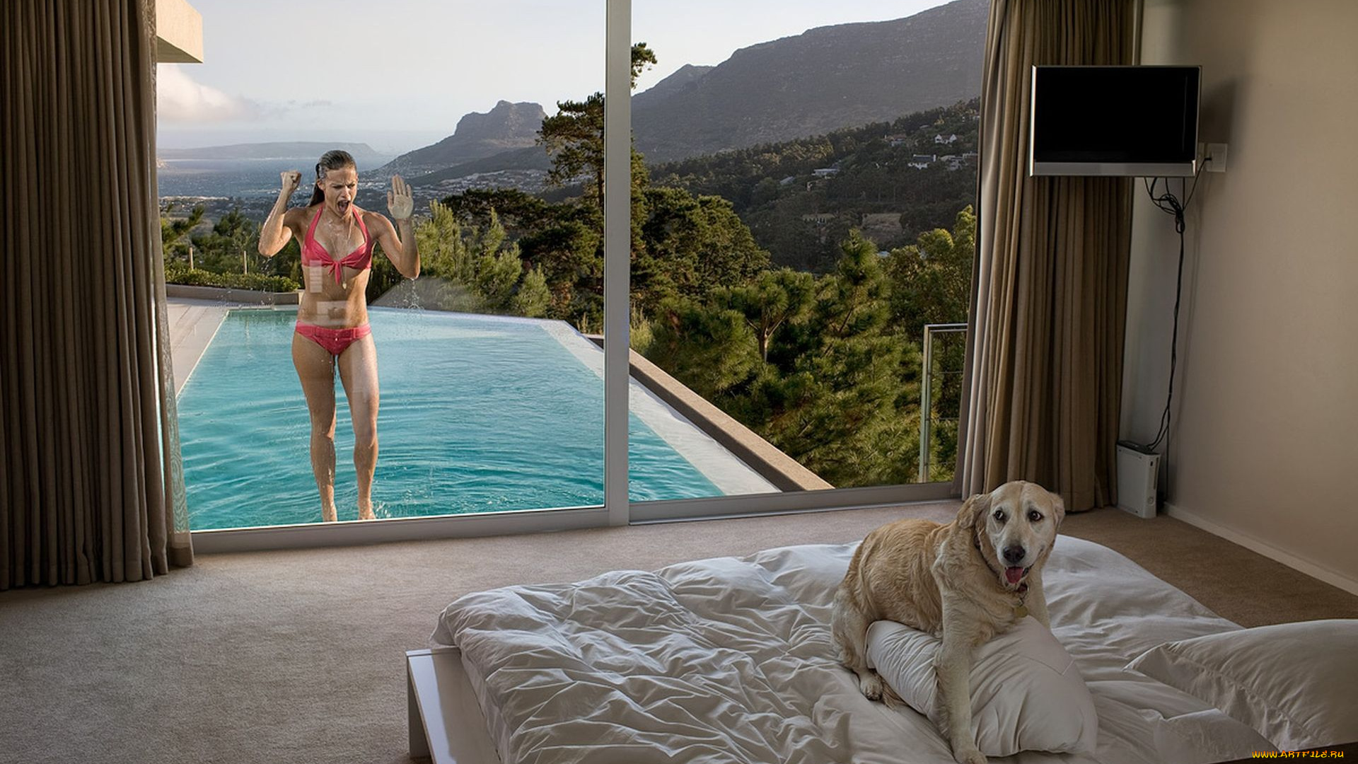 юмор, приколы