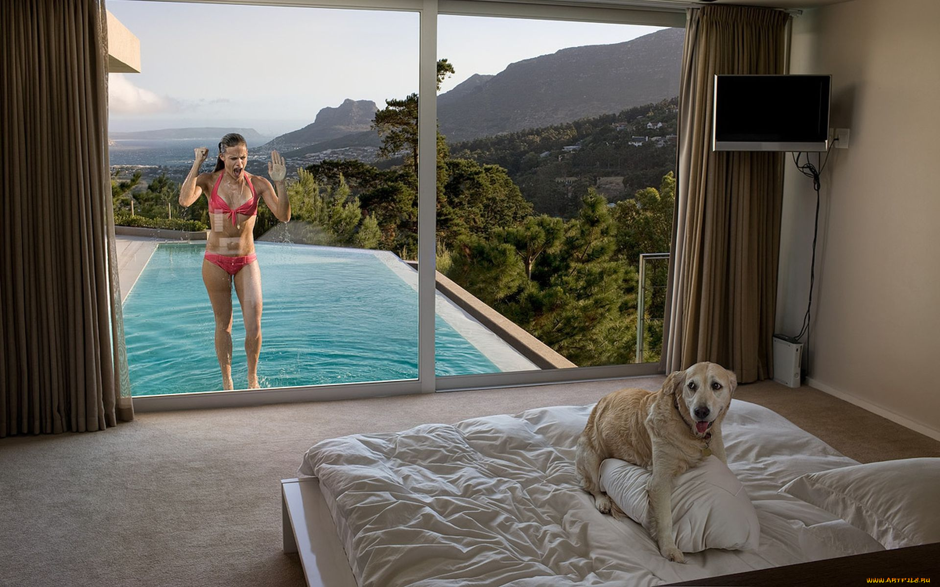 юмор, приколы