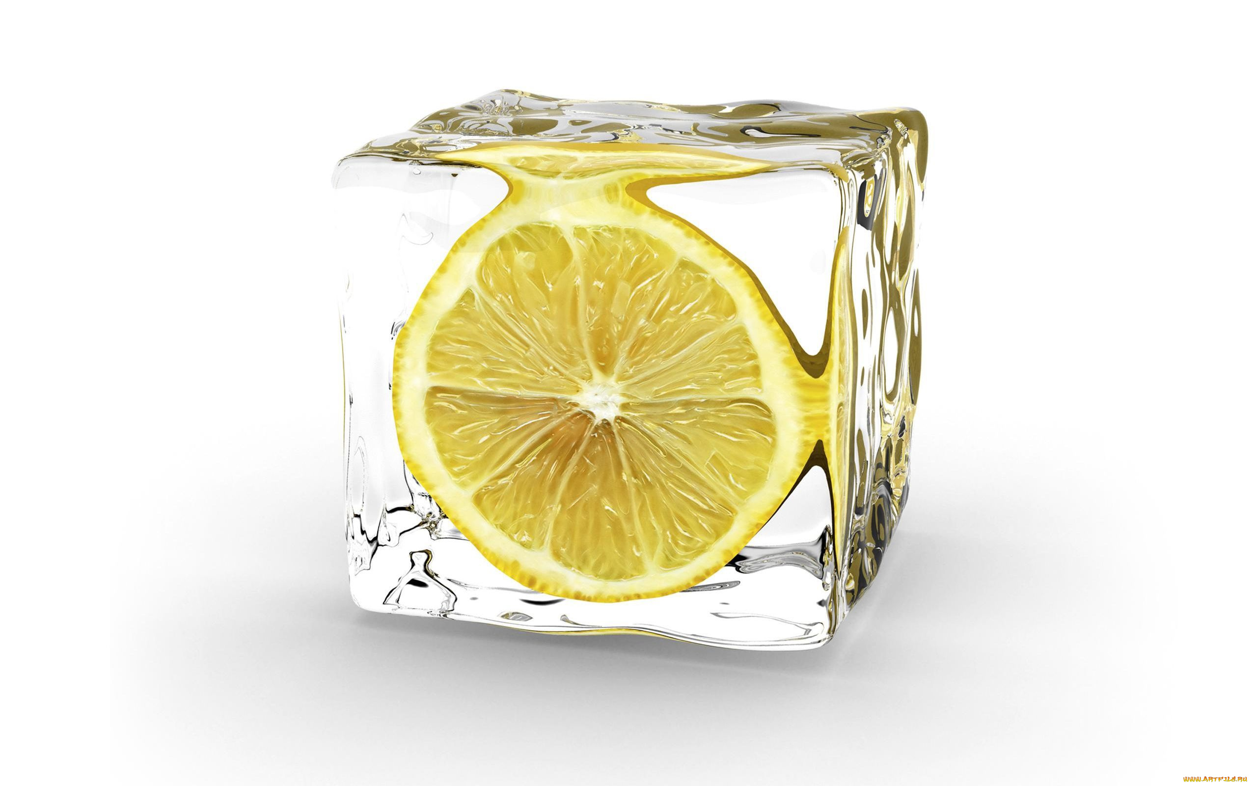 еда, цитрусы