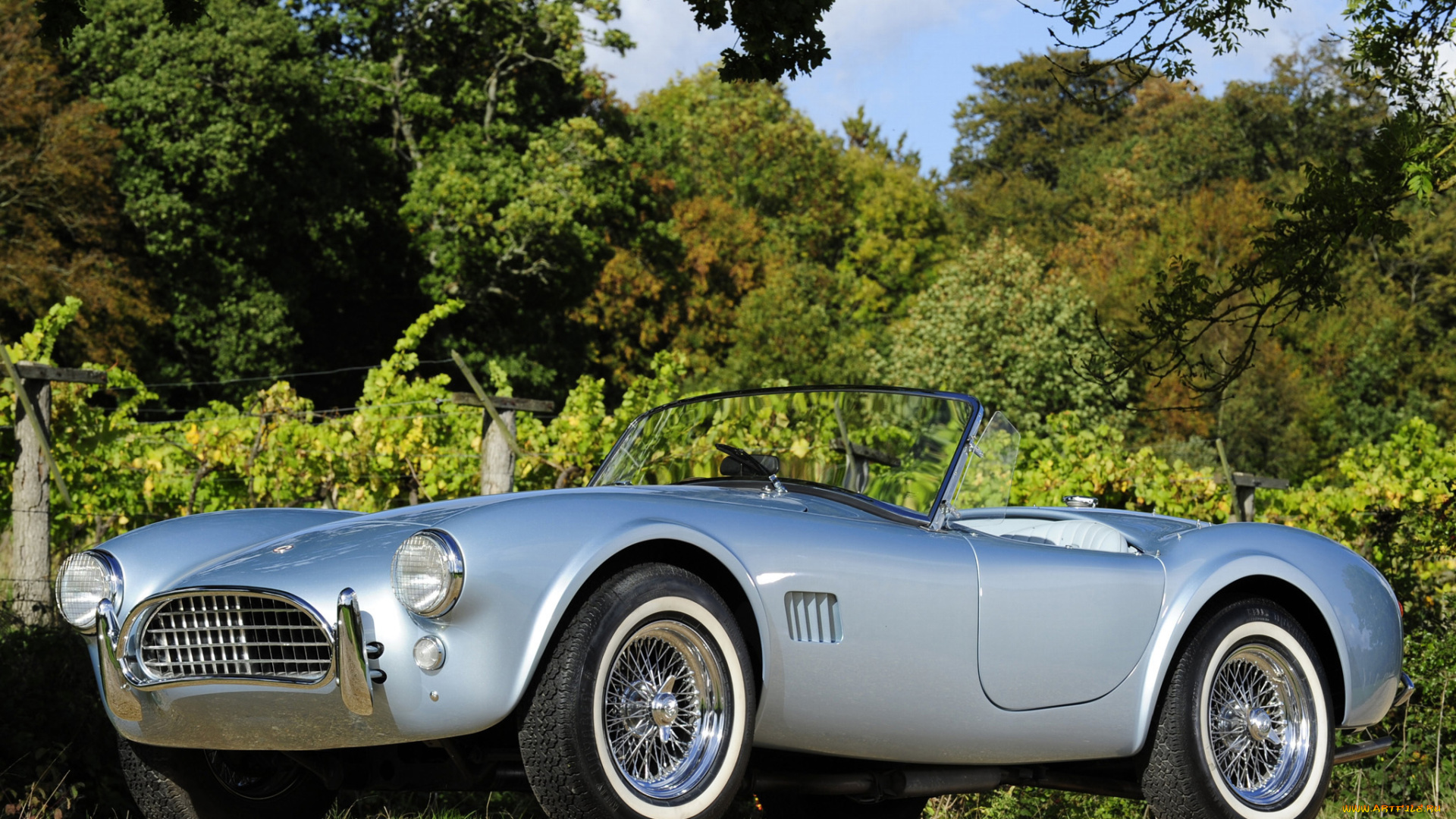 автомобили, ac, cobra, shelby