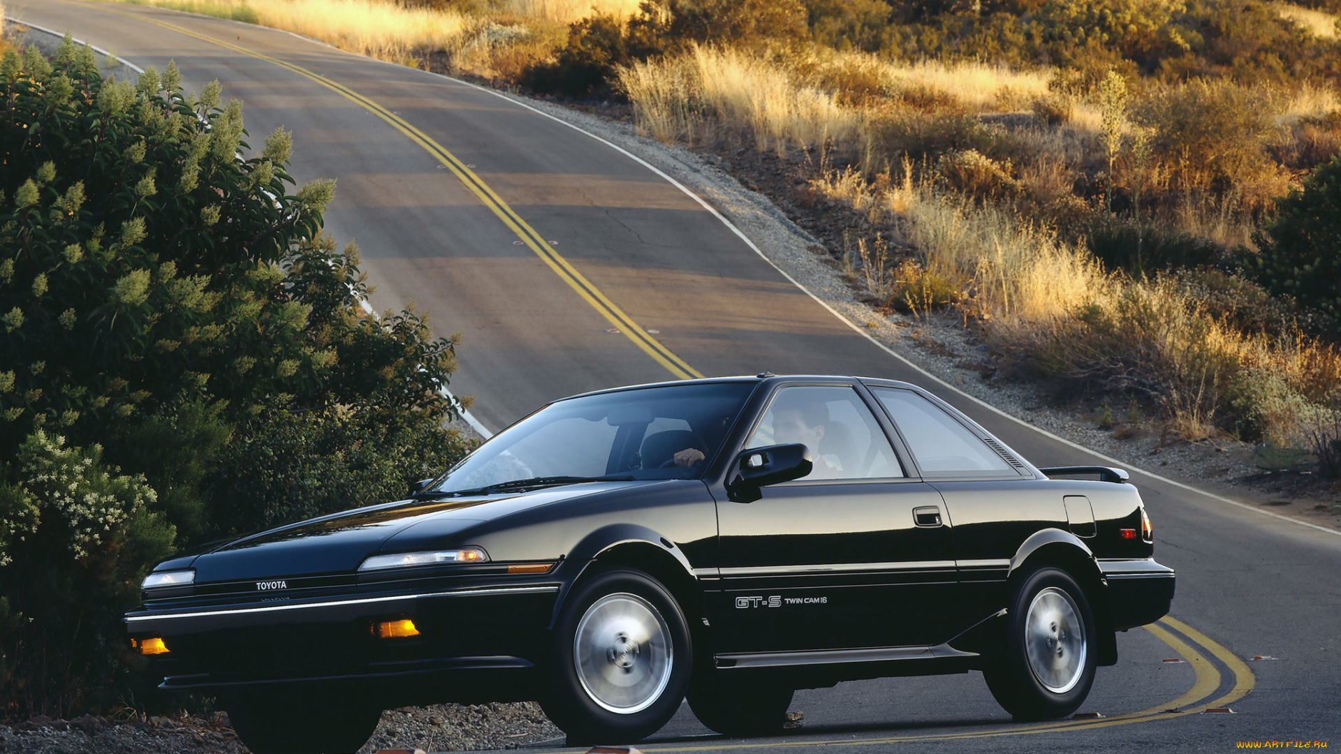 автомобили, toyota