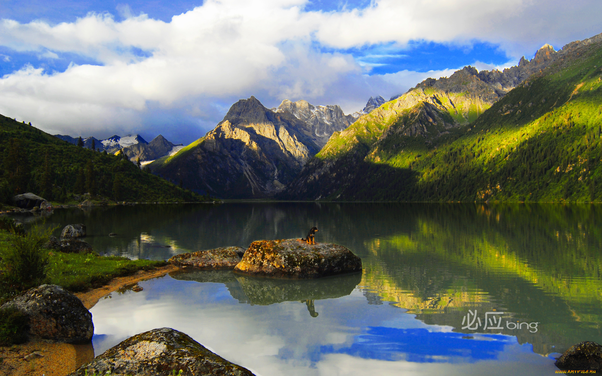 природа, реки, озера