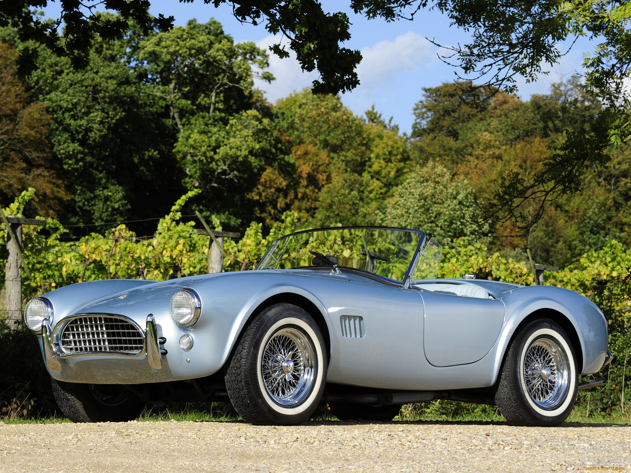 автомобили, ac, cobra, shelby