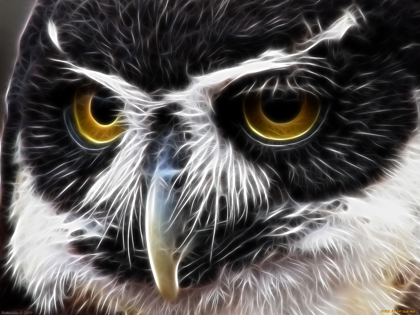 3д, графика, animals, животные, глаза