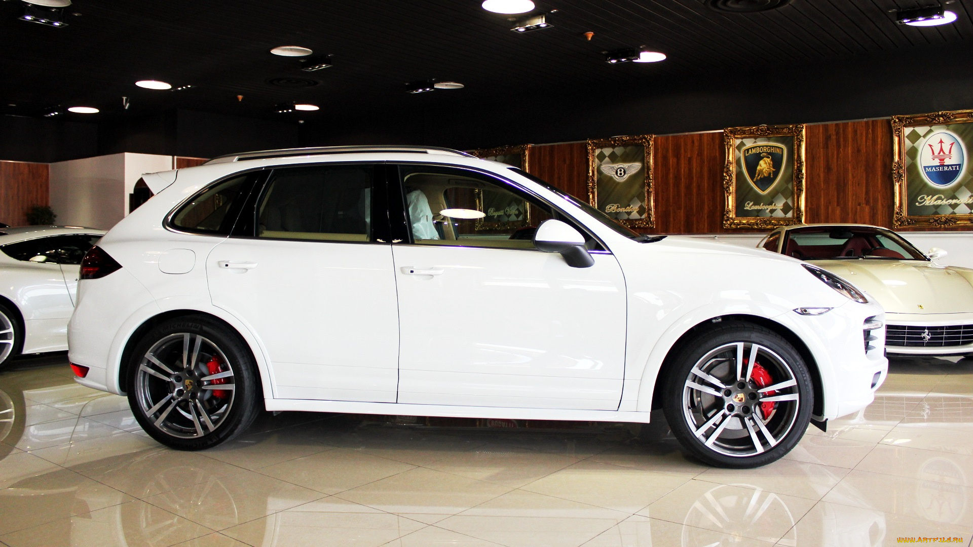 porsche, cayenne, автомобили, выставки, уличные, фото, элитный, спортивный, германия