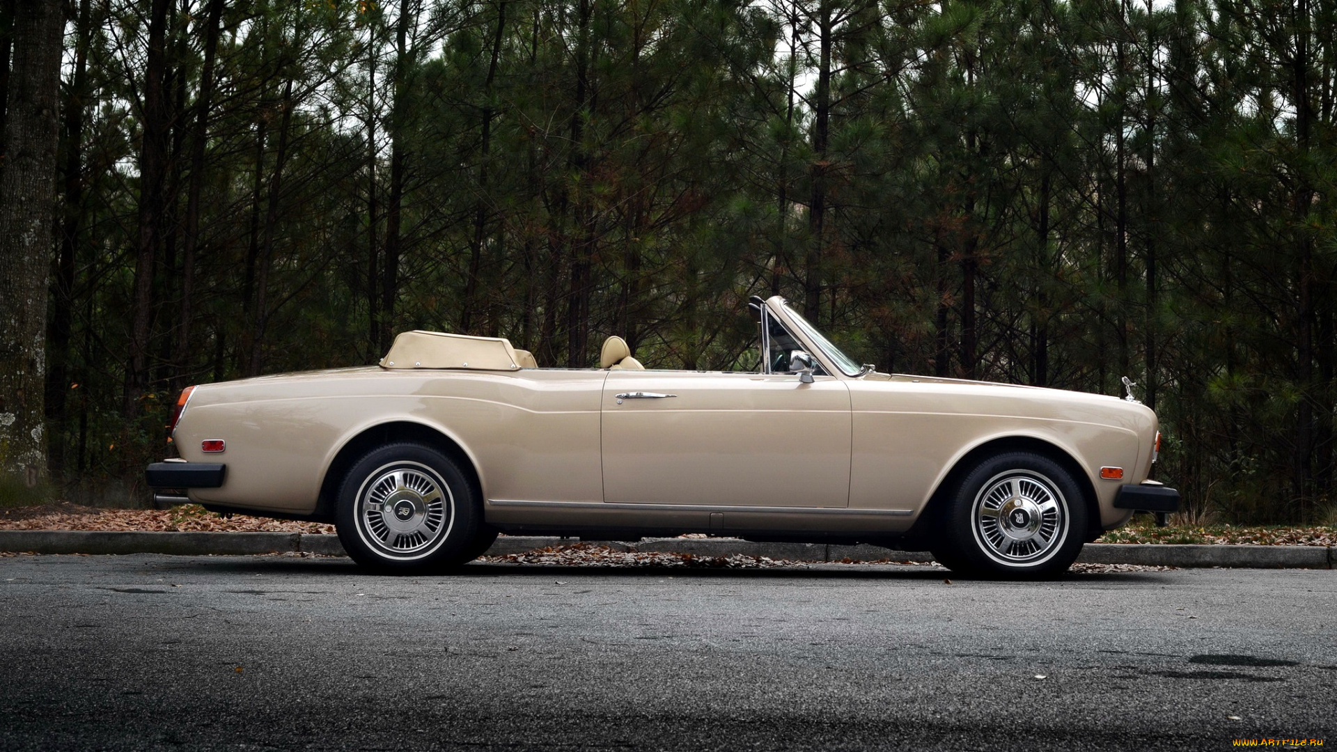 rolls, royce, corniche, автомобили, rolls-royce, limited, престижные, класс-люкс, великобритания